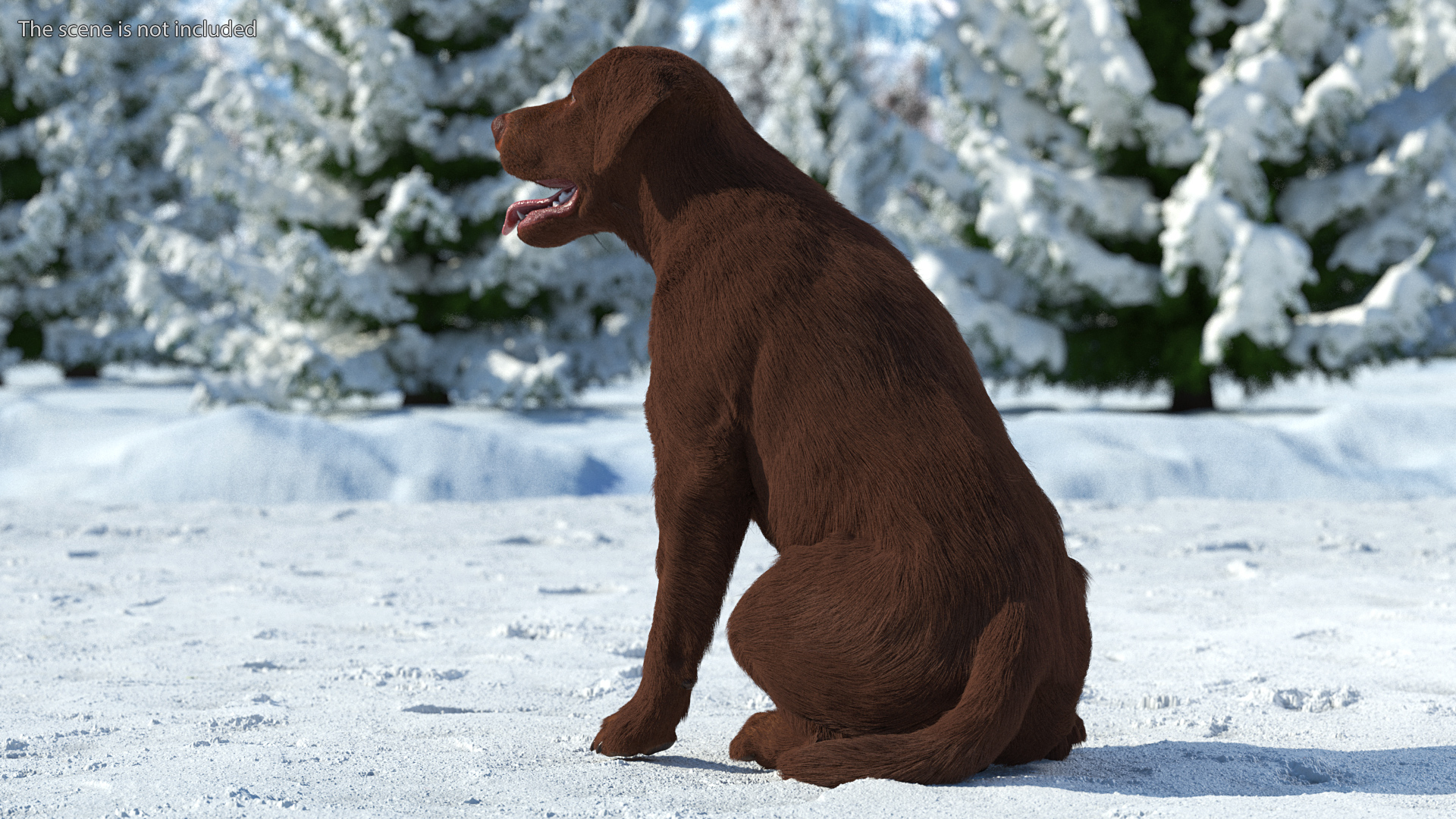 3D model Labrador Dog Brown Sitting Fur