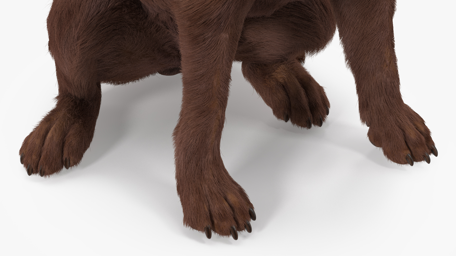 3D model Labrador Dog Brown Sitting Fur