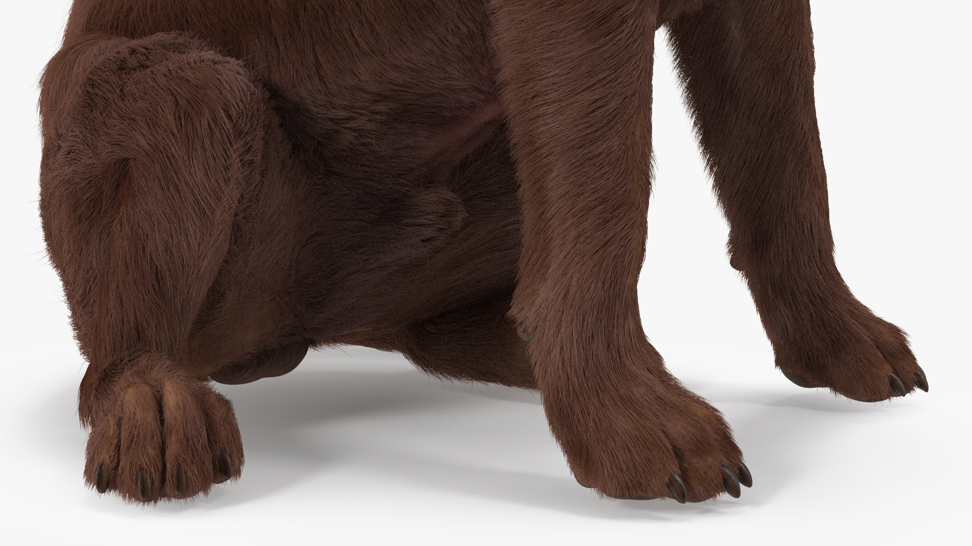 3D model Labrador Dog Brown Sitting Fur