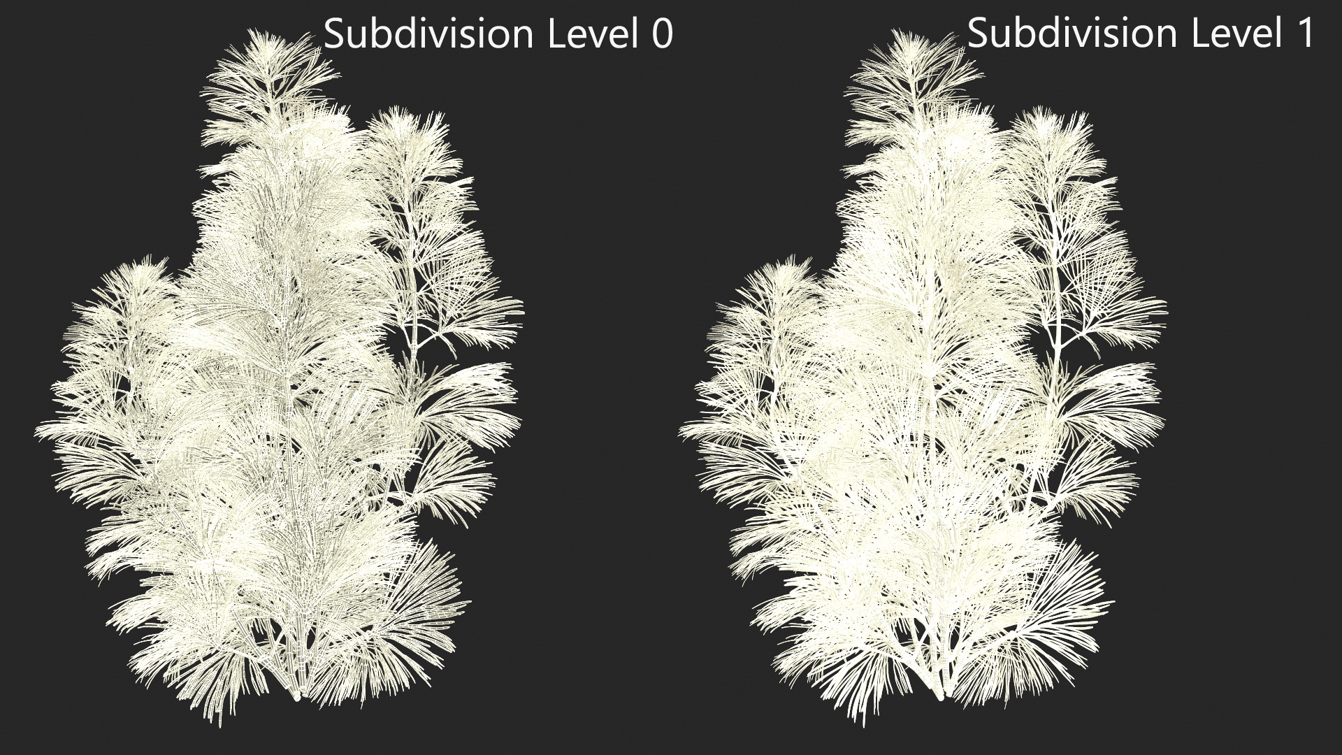 Cabomba Caroliniana Aquarium Plant 3D model