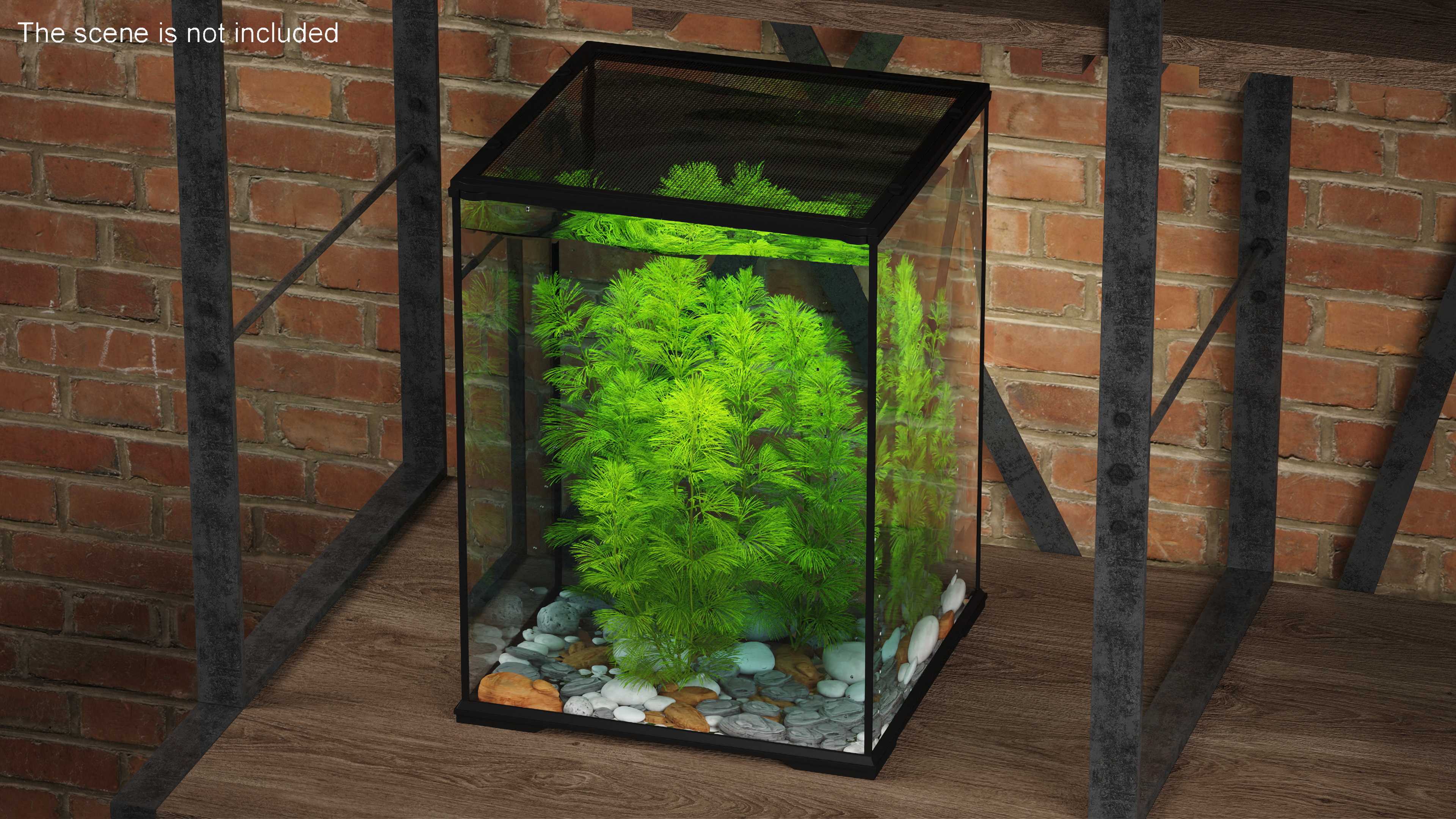 Cabomba Caroliniana Aquarium Plant 3D model