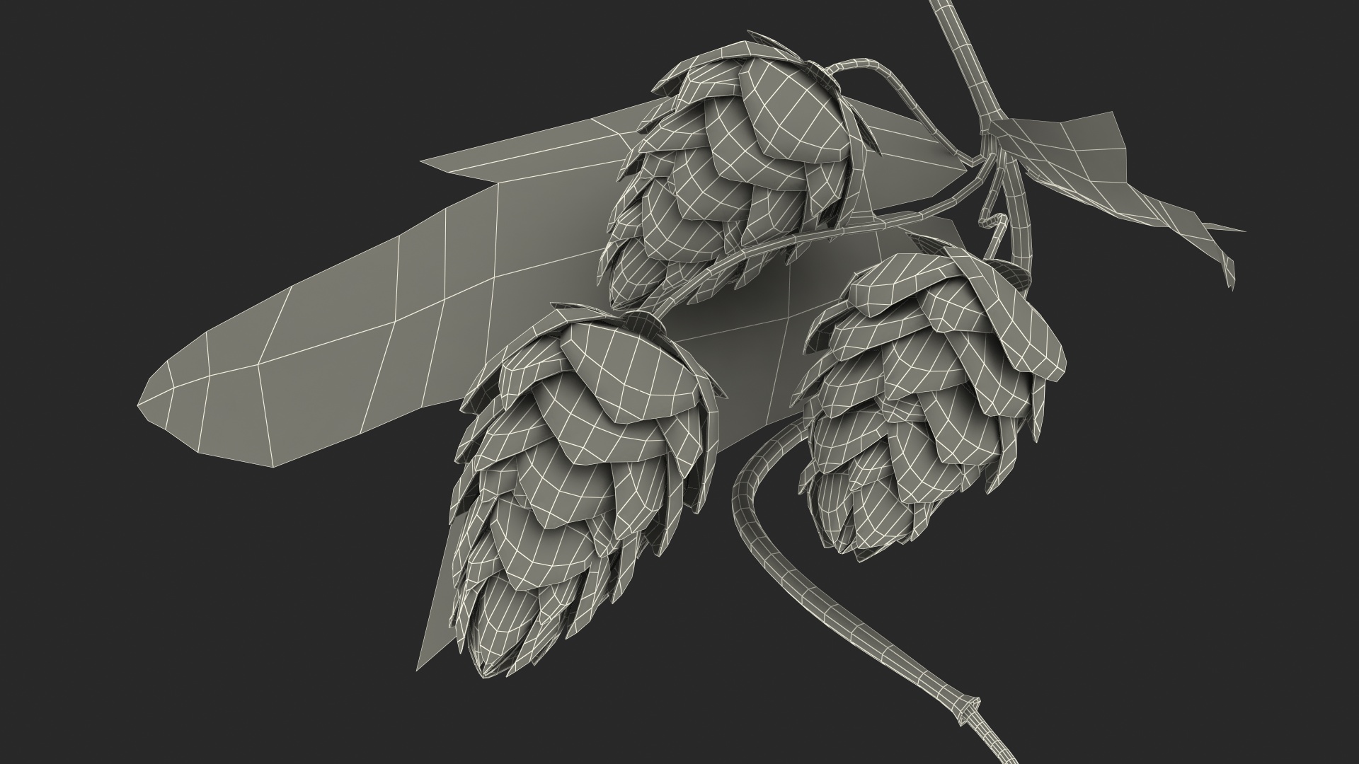 3D Hops Branch