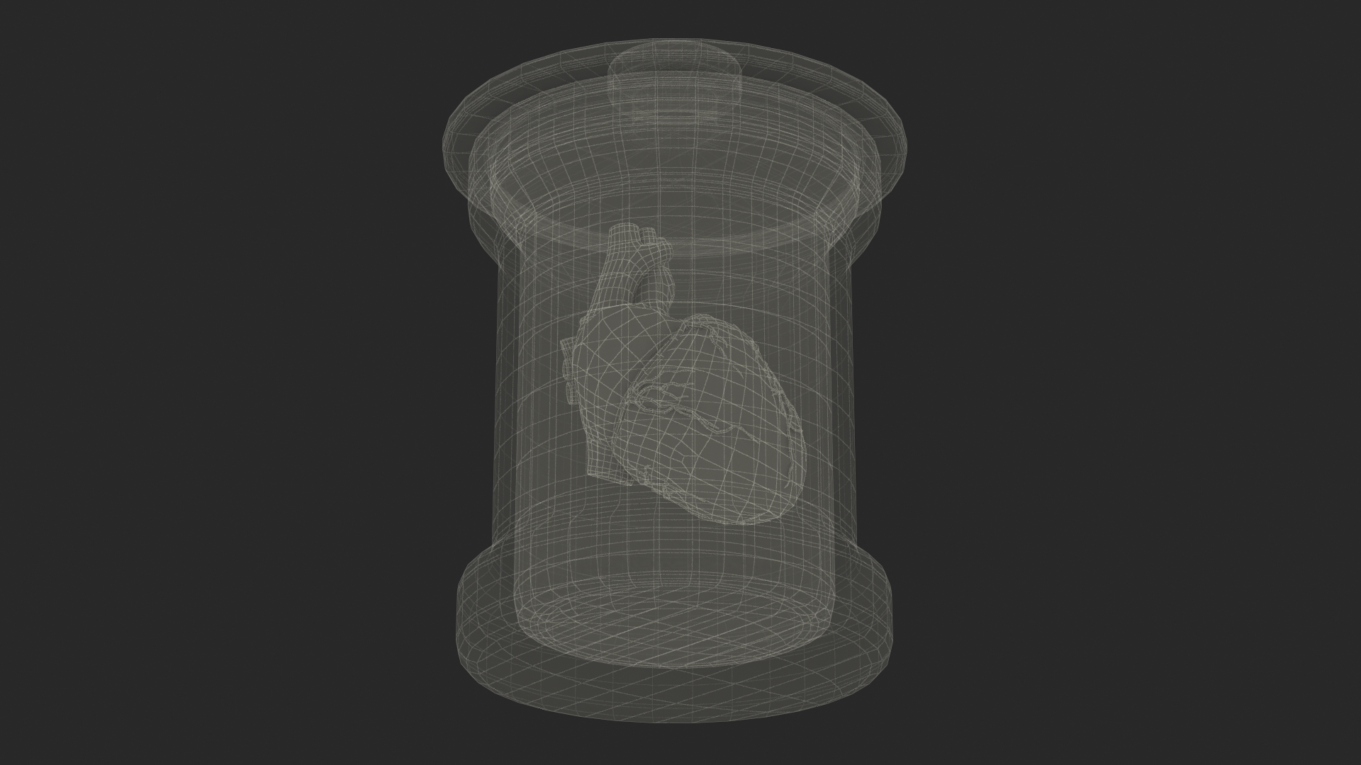 3D Human Heart in Old Glass Jar model