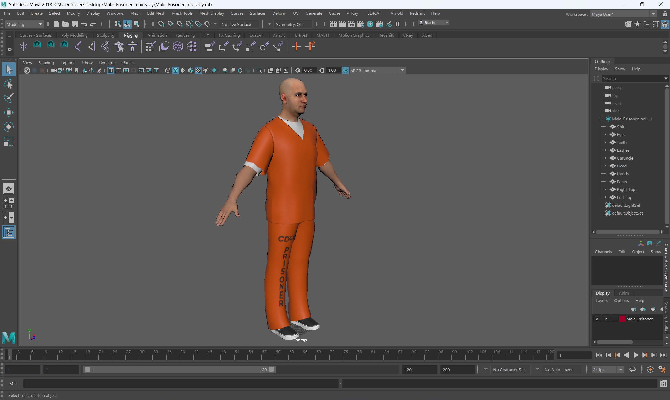 3D Male Prisoner model