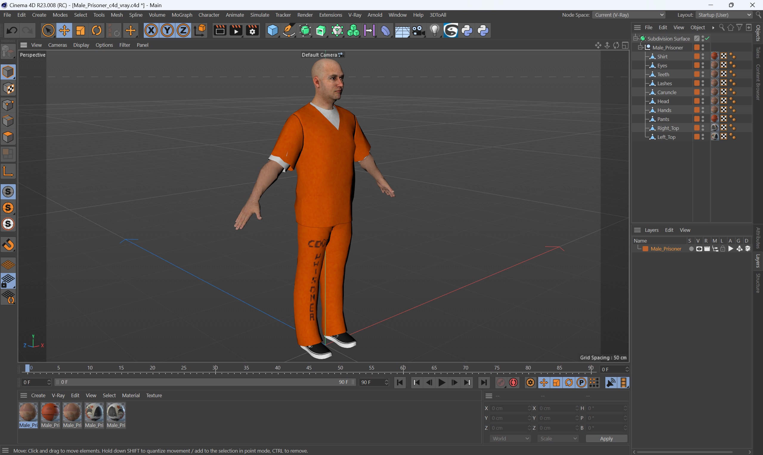 3D Male Prisoner model