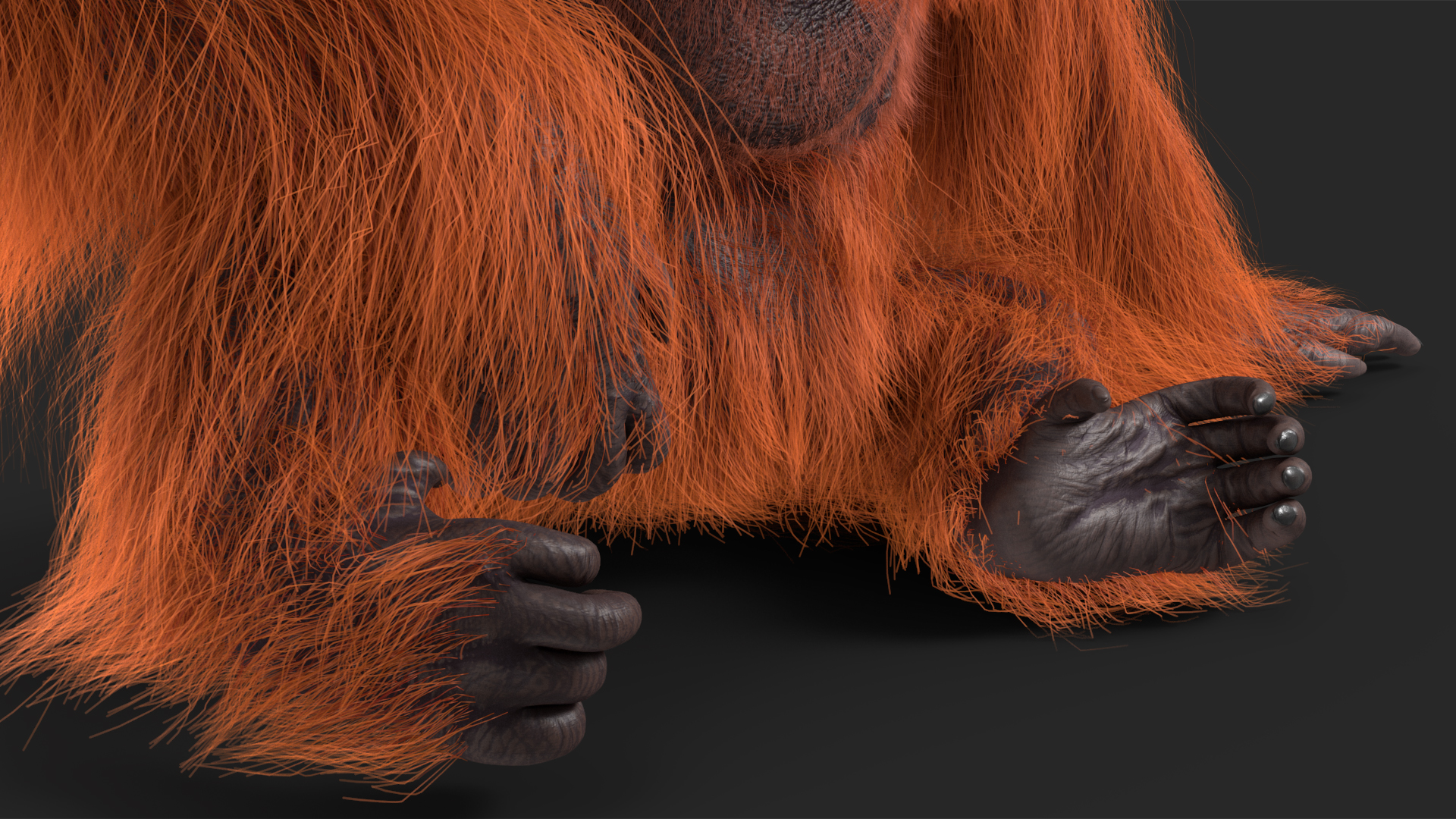 Tired Sitting Orangutan Fur 3D