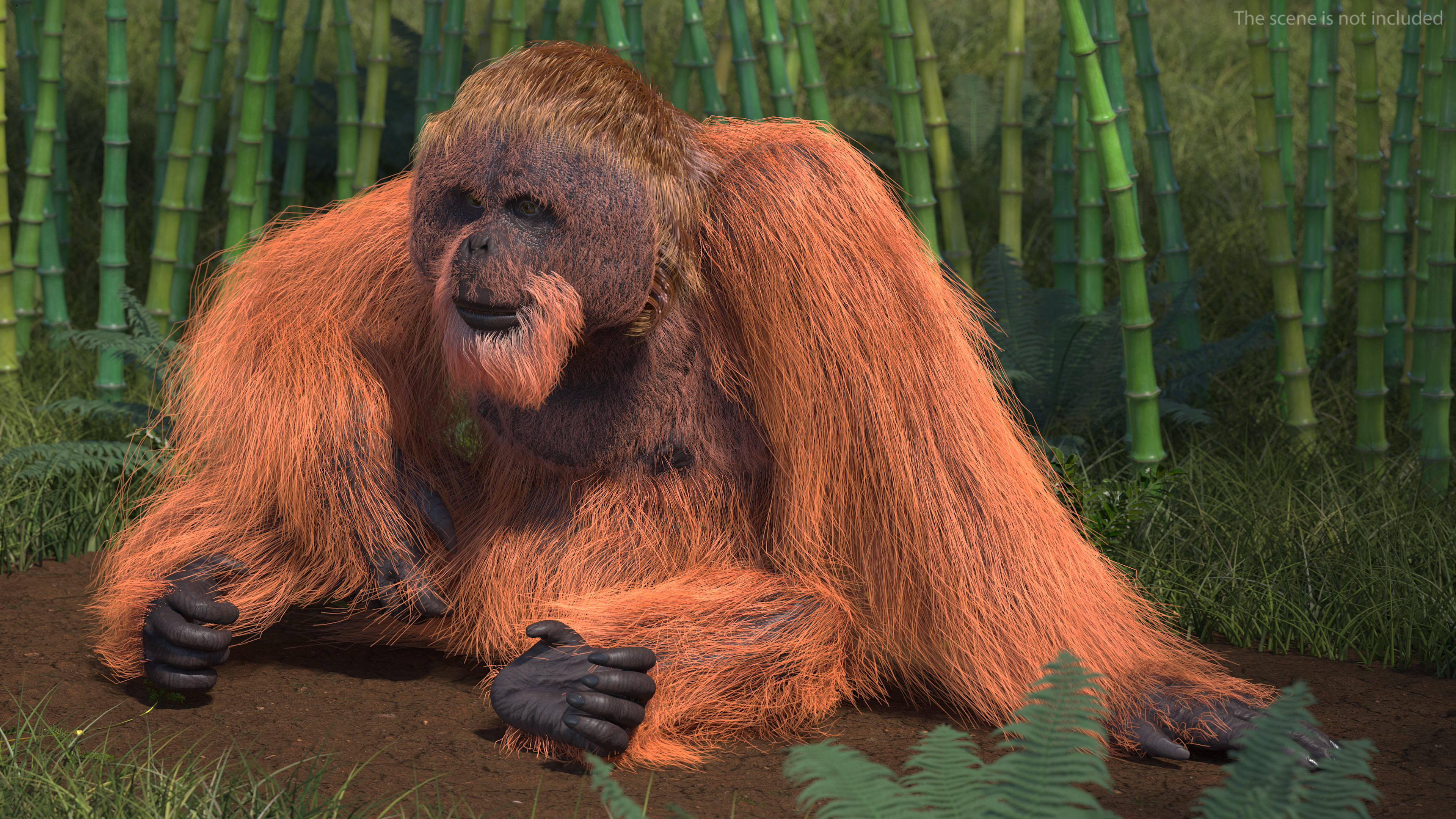 Tired Sitting Orangutan Fur 3D