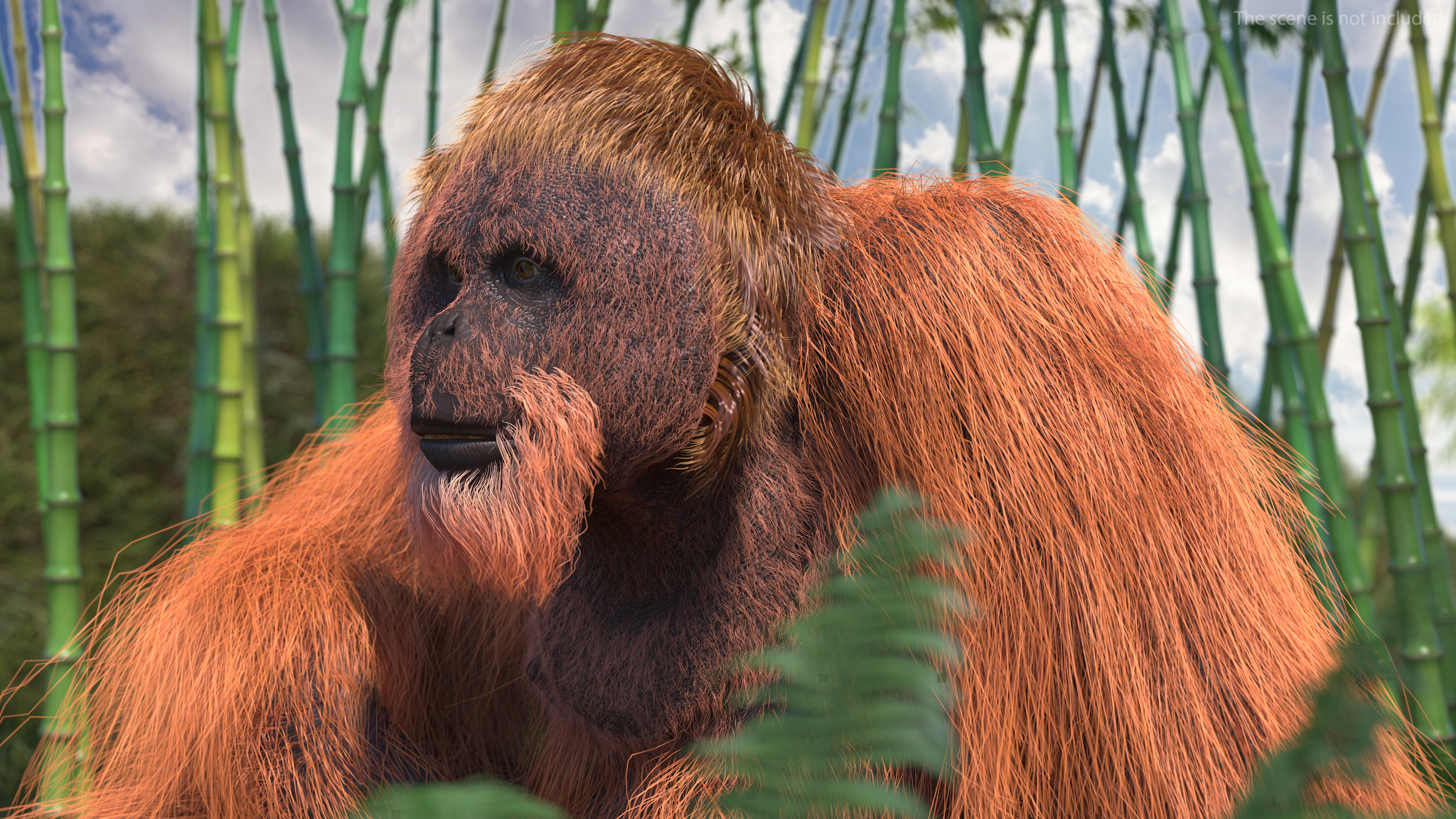 Tired Sitting Orangutan Fur 3D