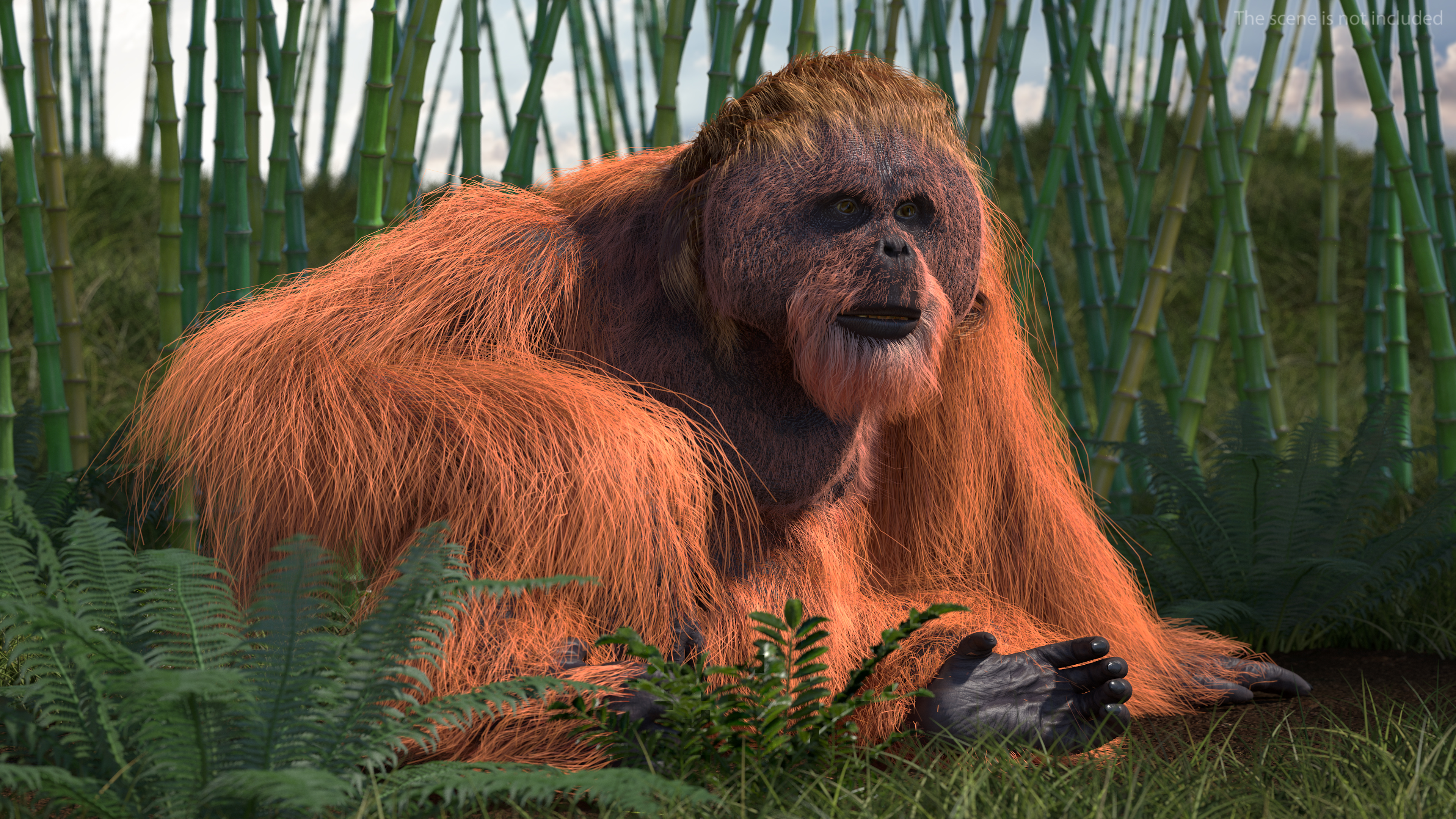 Tired Sitting Orangutan Fur 3D