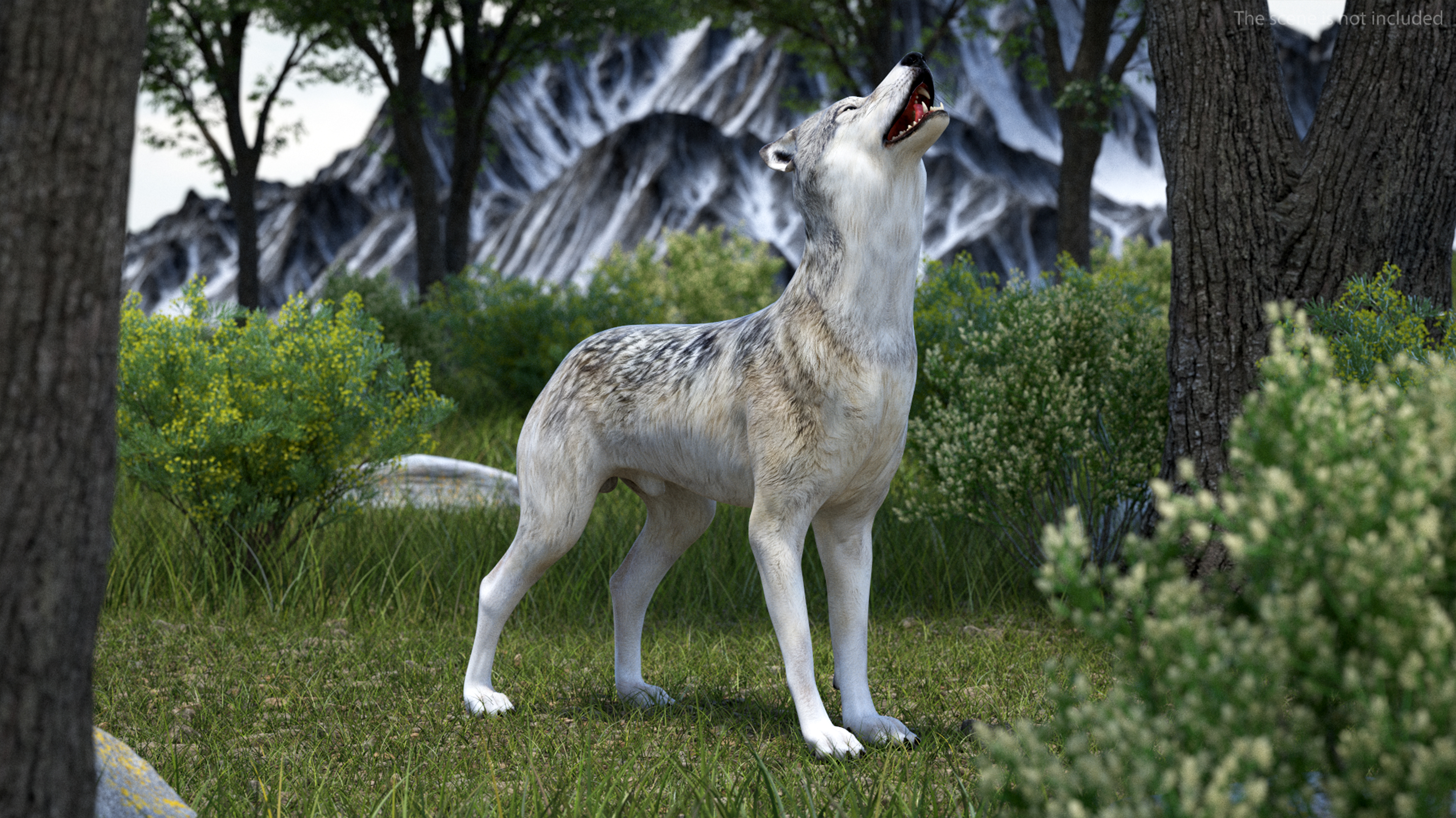 3D Wolf Rigged