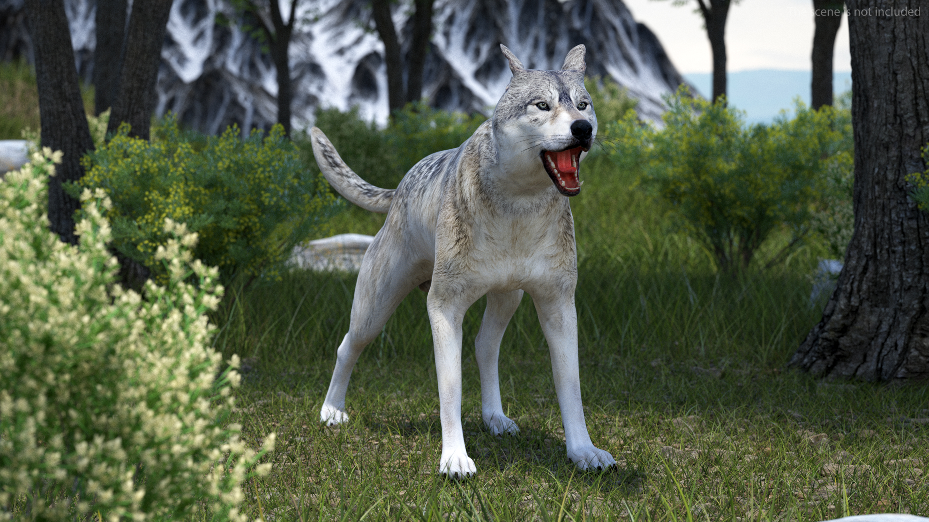 3D Wolf Rigged