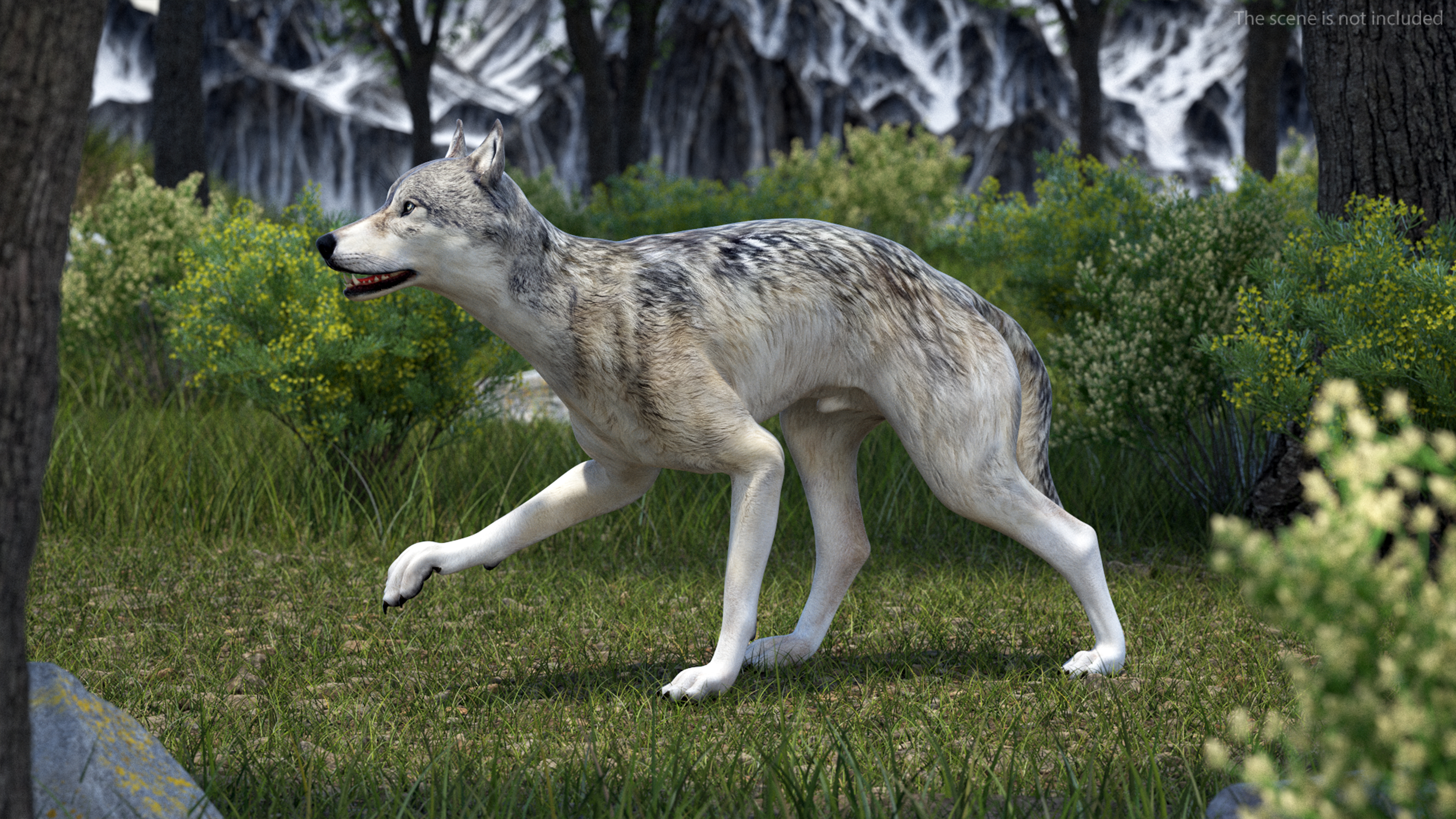 3D Wolf Rigged