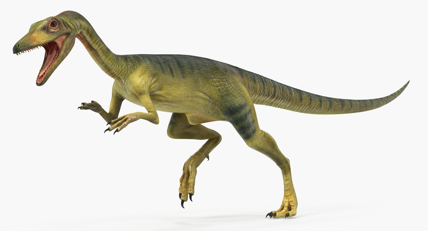 3D Compsognathus Dinosaur Run Pose