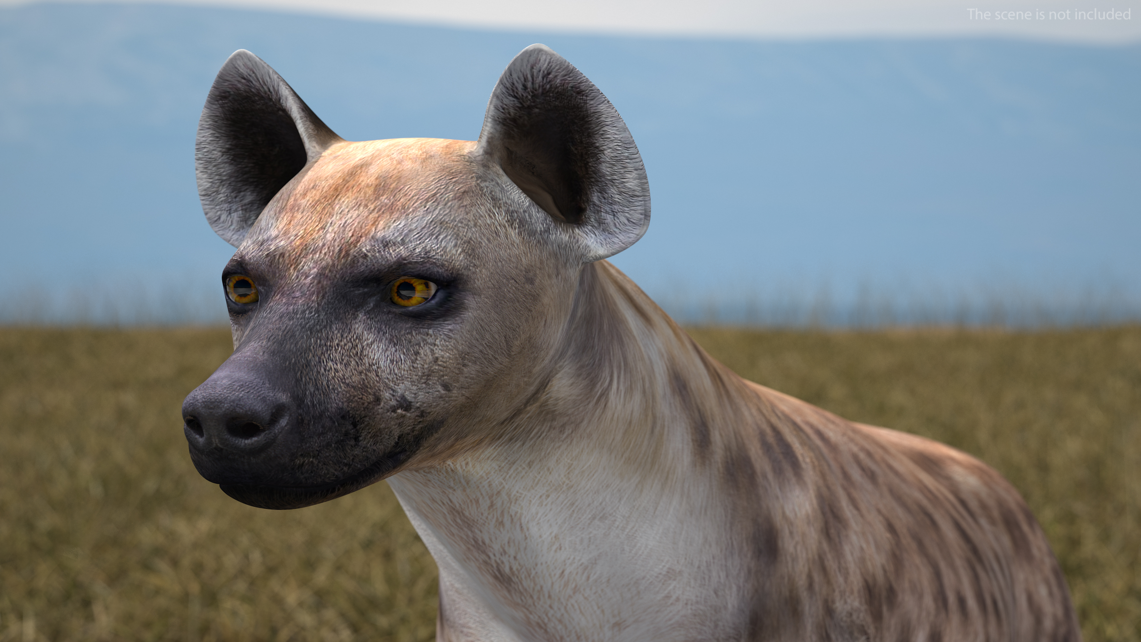 Hyena Rigged 3D