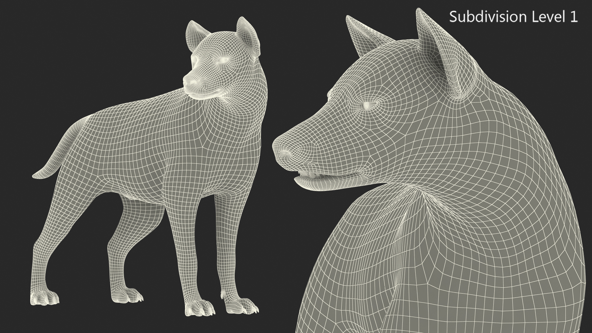 Hyena Rigged 3D