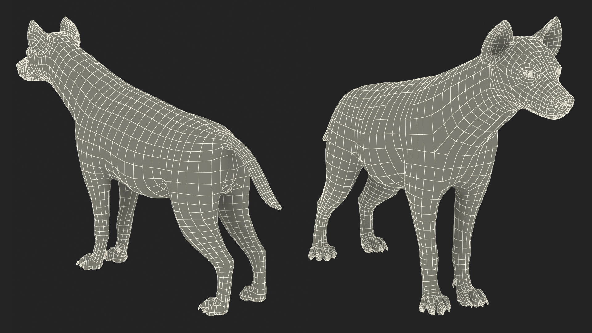 Hyena Rigged 3D