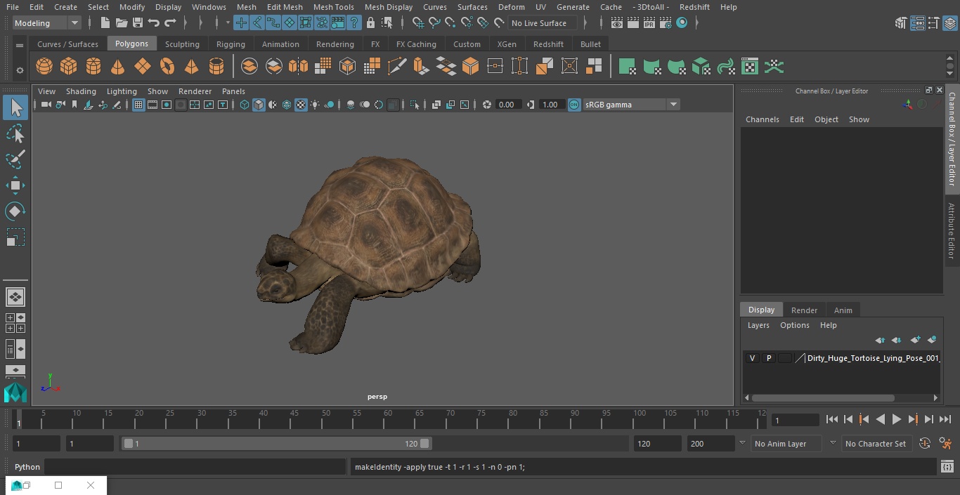 3D model Dirty Huge Tortoise Lying Pose