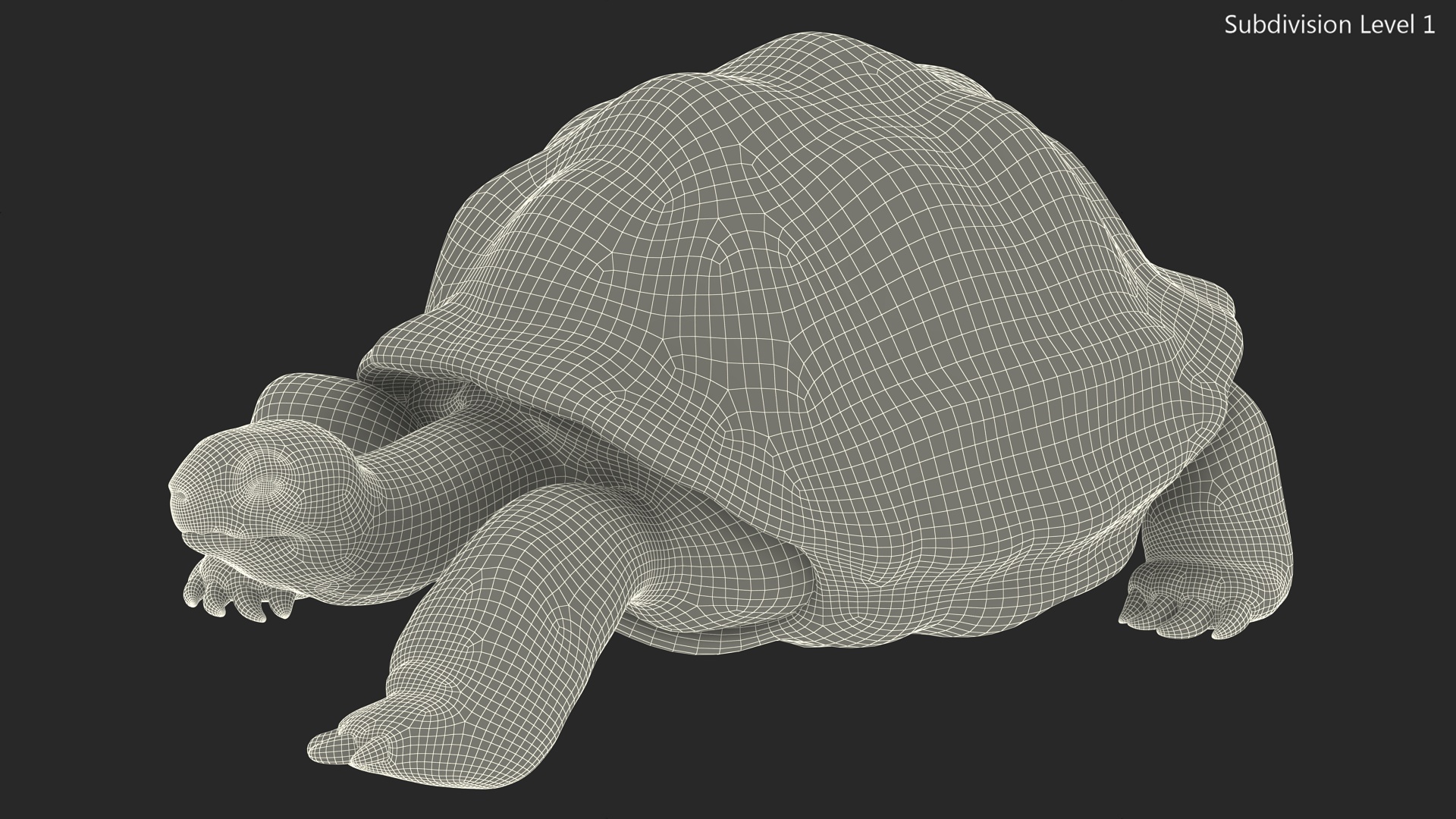 3D model Dirty Huge Tortoise Lying Pose