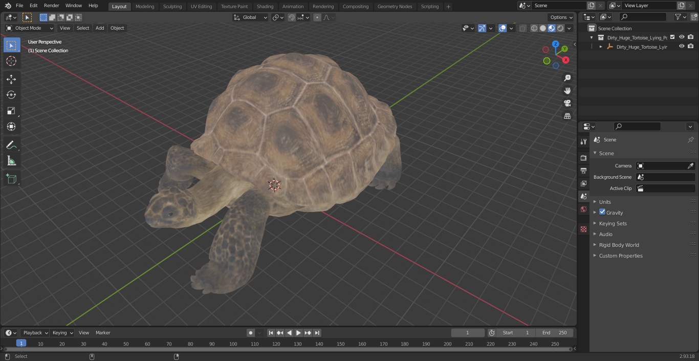 3D model Dirty Huge Tortoise Lying Pose