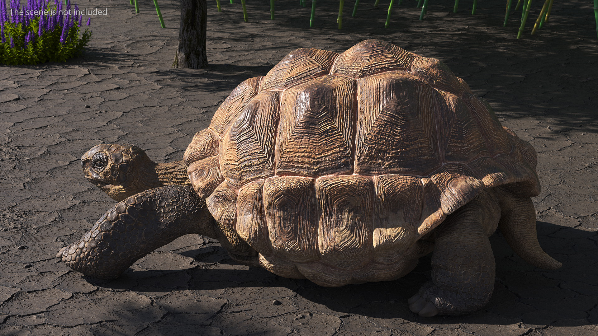 3D model Dirty Huge Tortoise Lying Pose