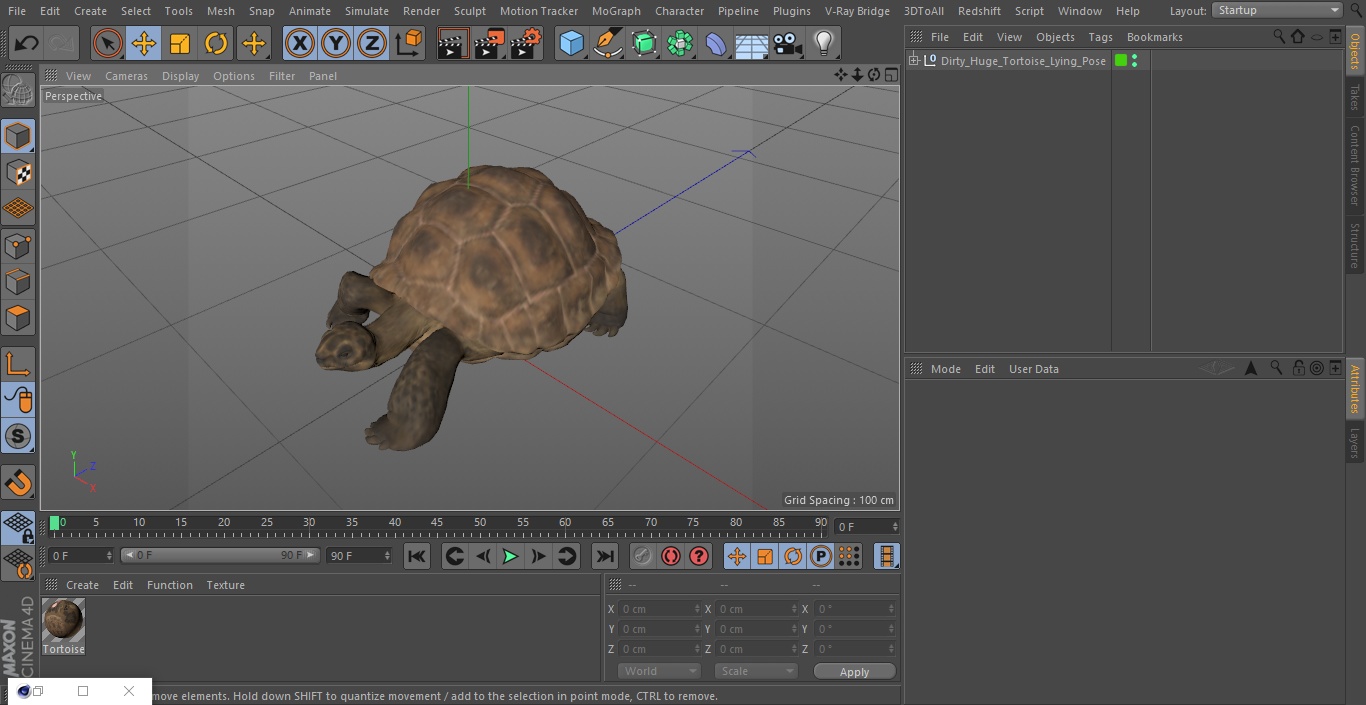 3D model Dirty Huge Tortoise Lying Pose