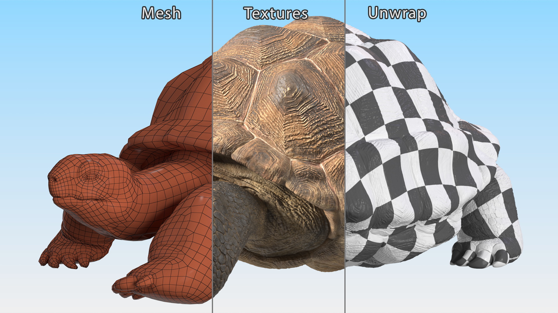 3D model Dirty Huge Tortoise Lying Pose