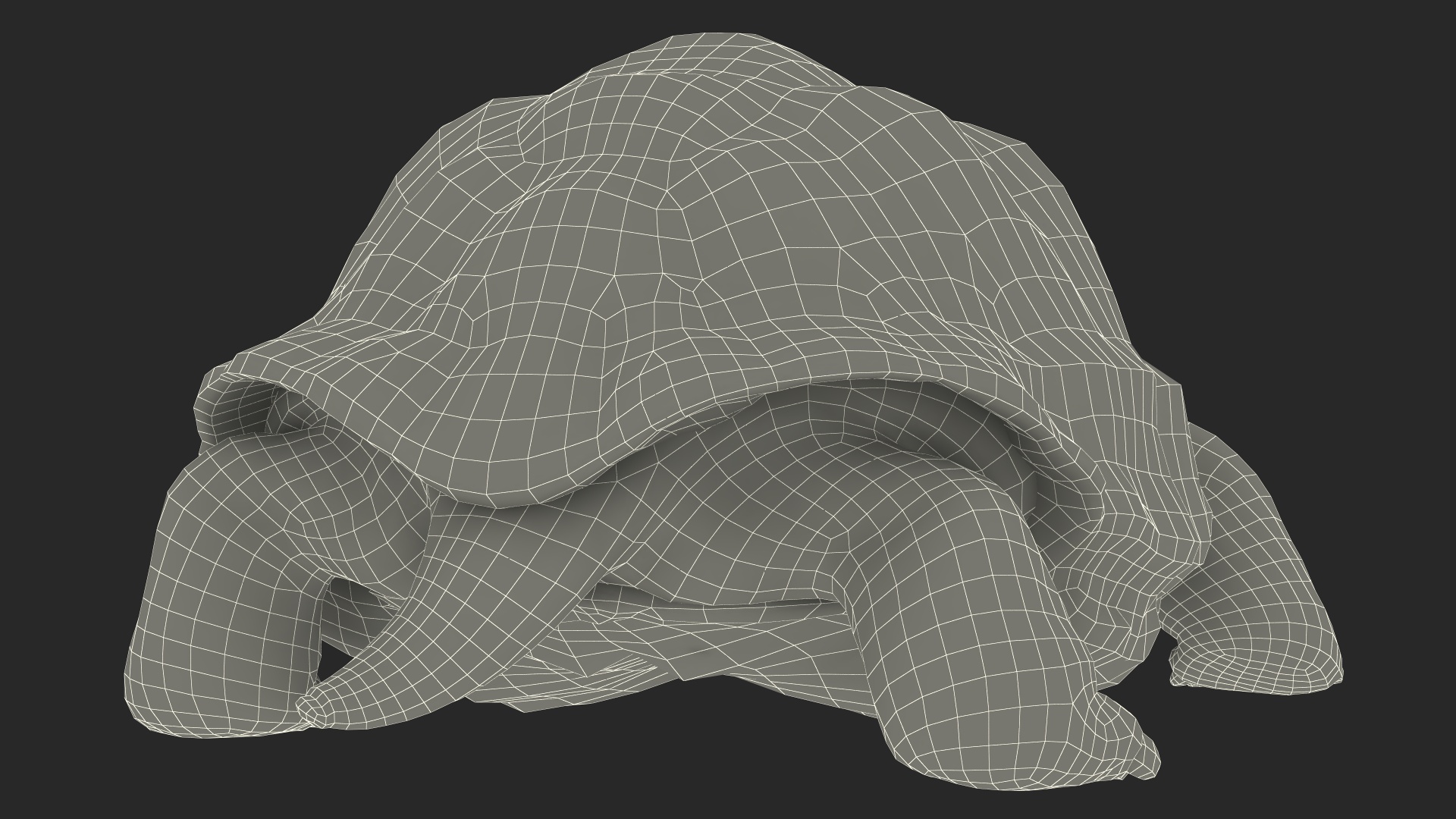 3D model Dirty Huge Tortoise Lying Pose