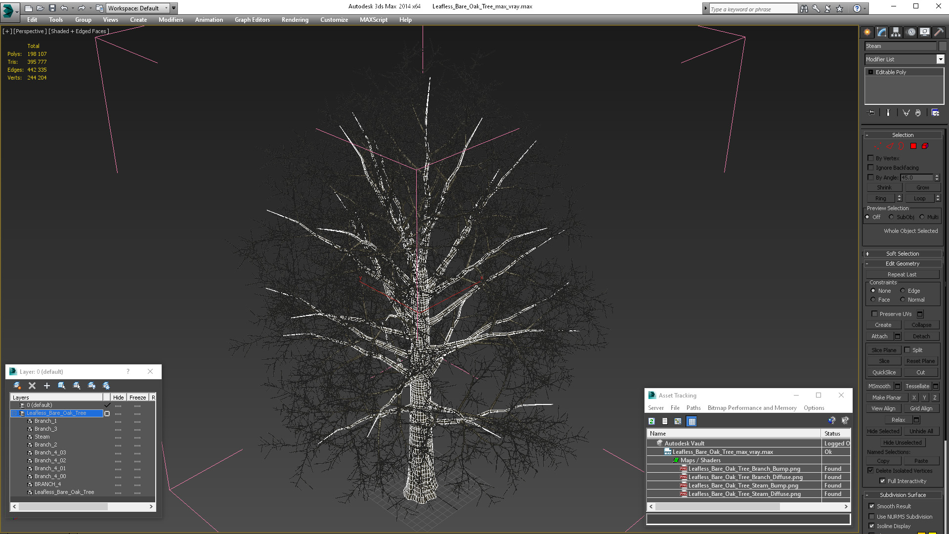 Leafless Bare Oak Tree 3D