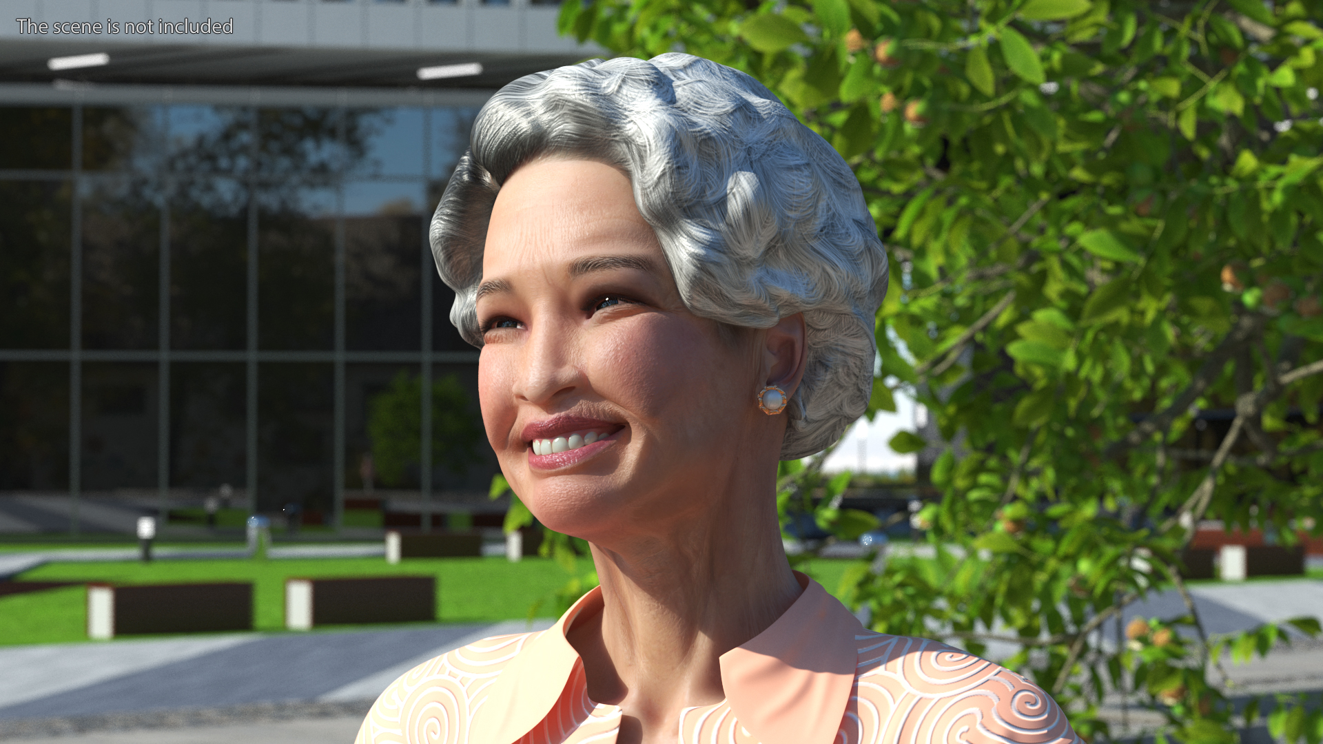 3D Chinese Grandma Everyday Style Walking model