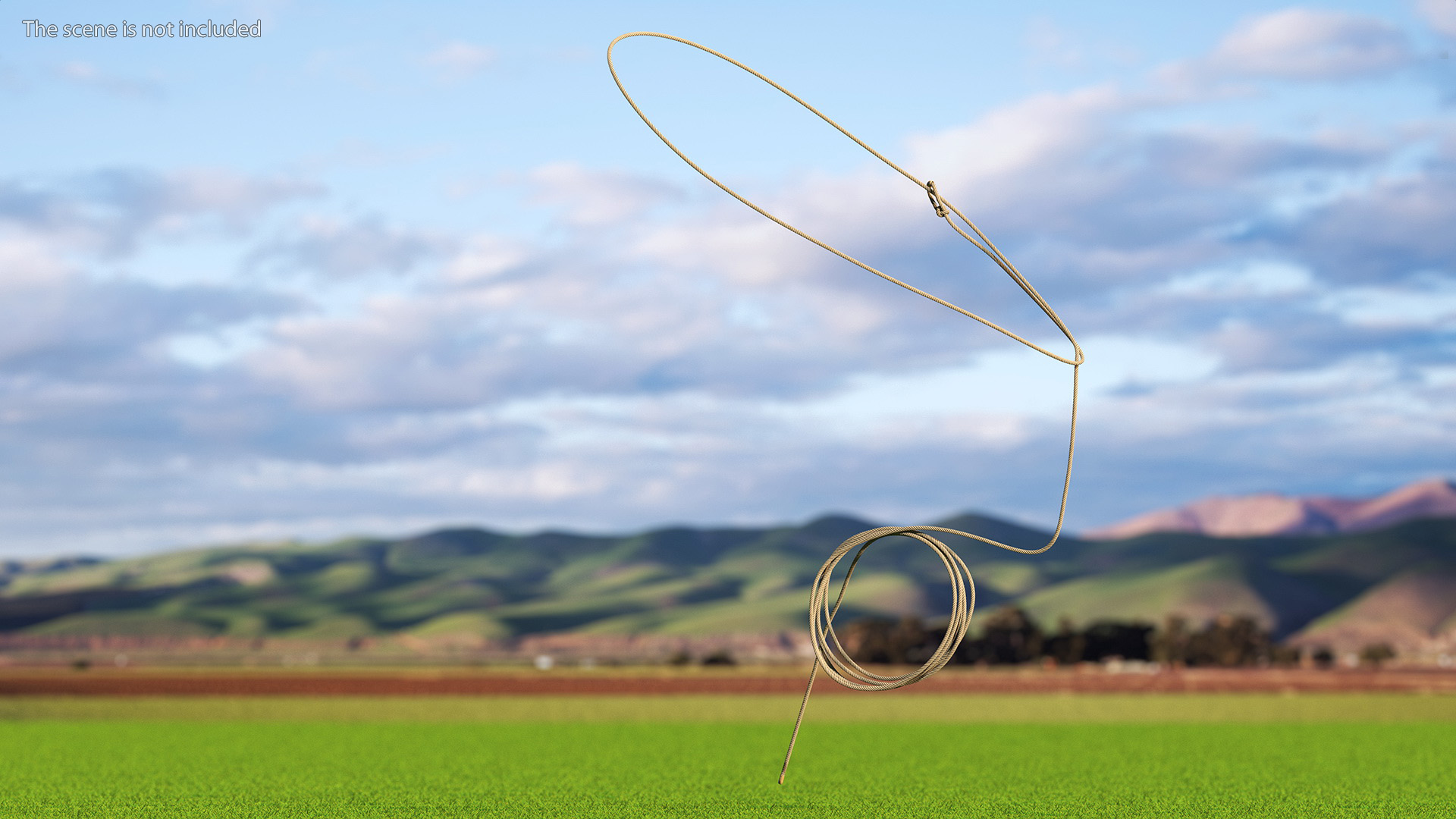 3D model Western Lasso Rope Dynamic Position