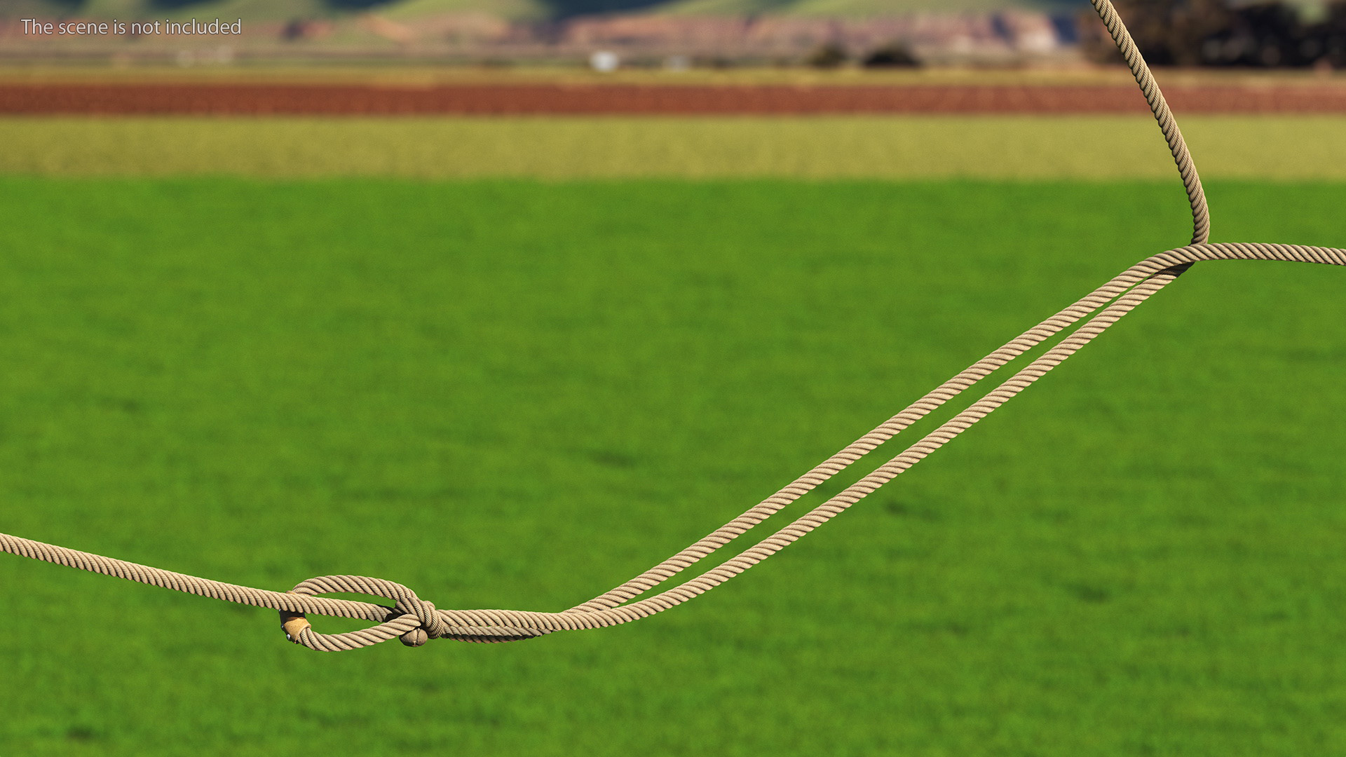 3D model Western Lasso Rope Dynamic Position