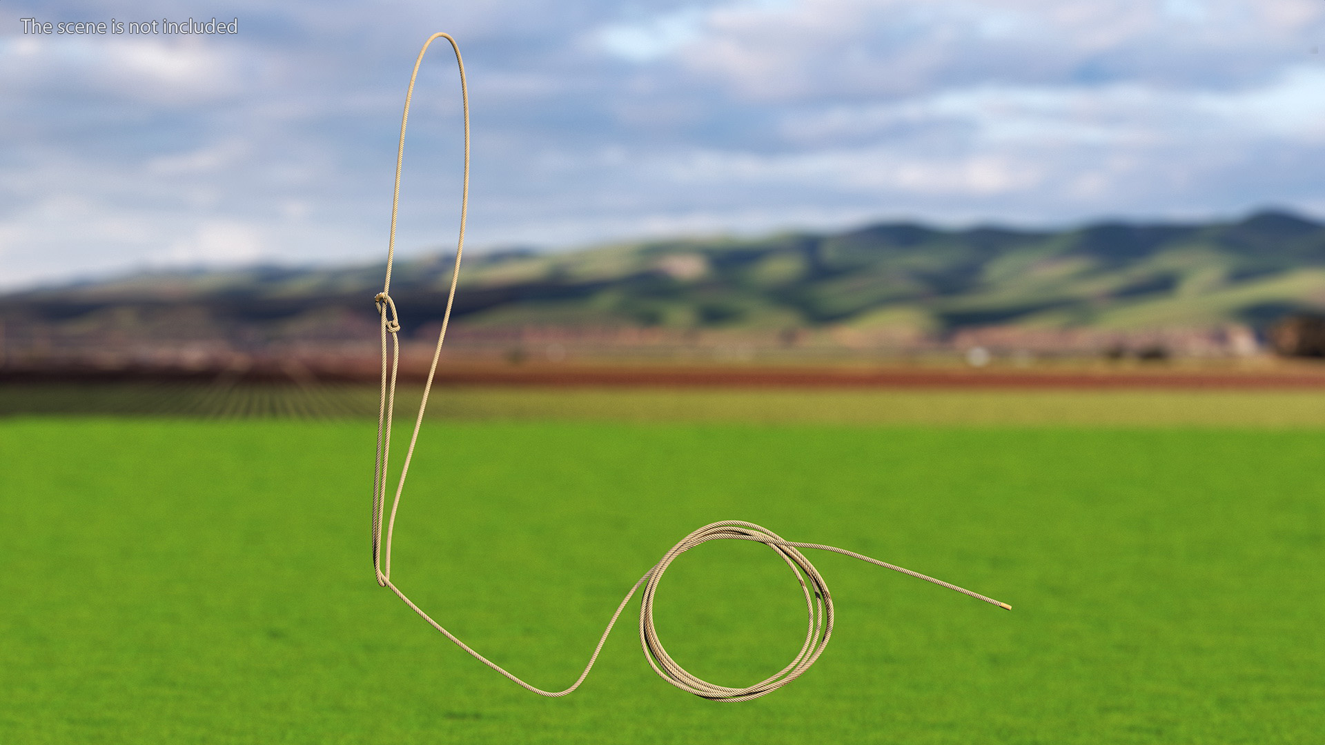 3D model Western Lasso Rope Dynamic Position