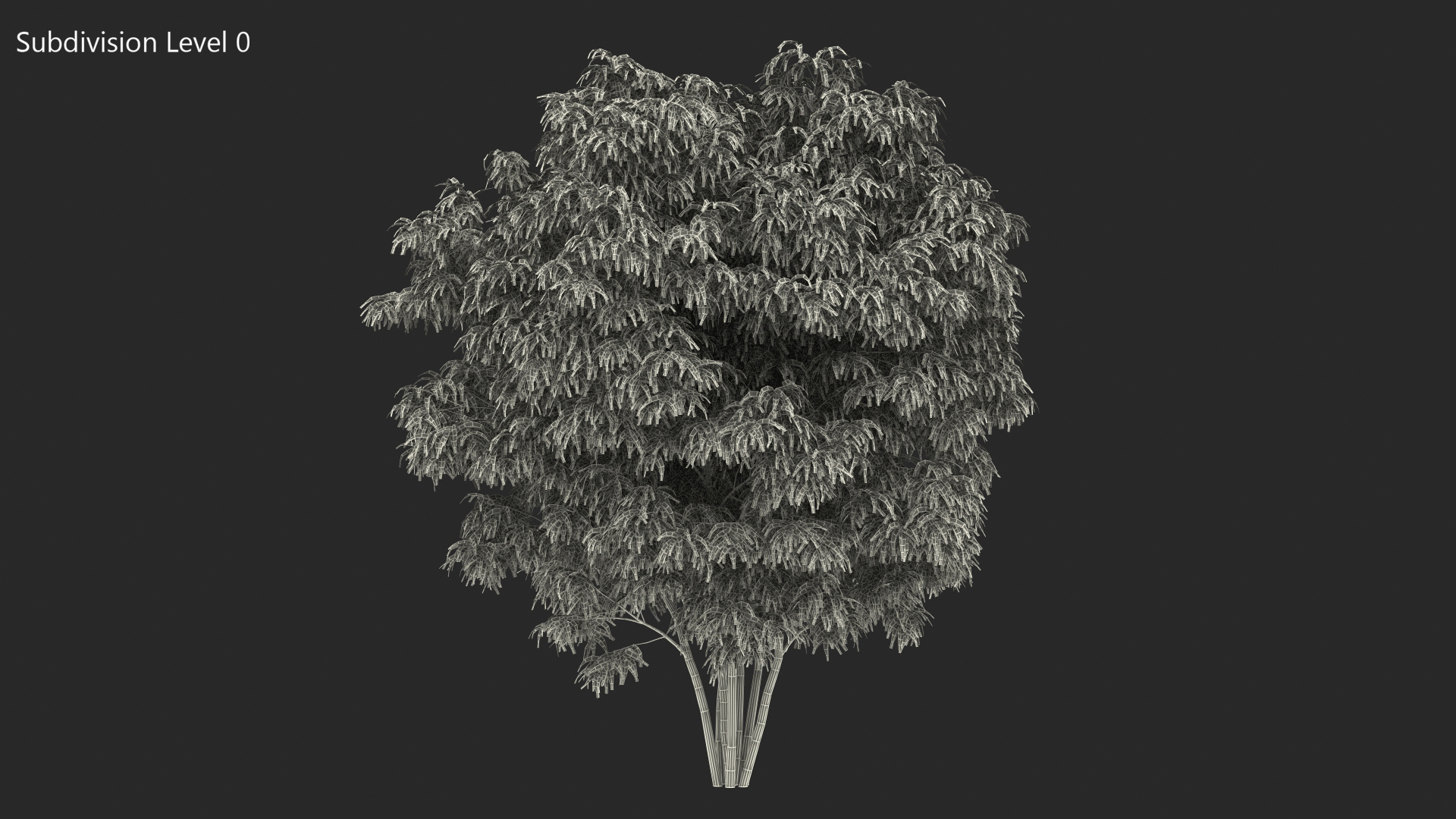 3D model American Elderberry Shrub