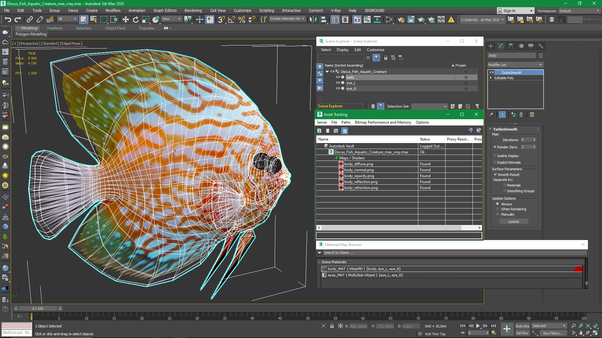 3D Discus Fish Aquatic Creature model