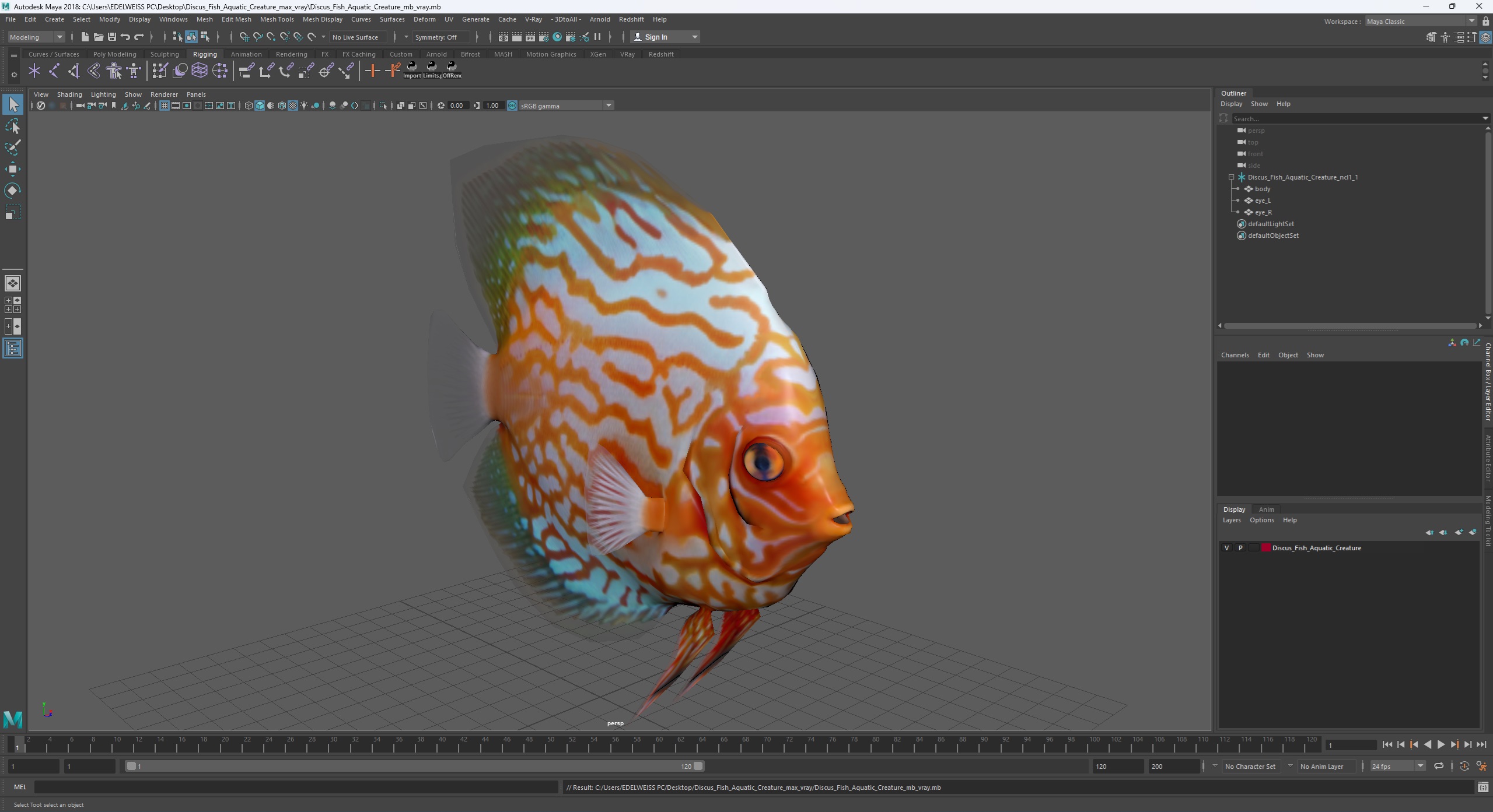 3D Discus Fish Aquatic Creature model