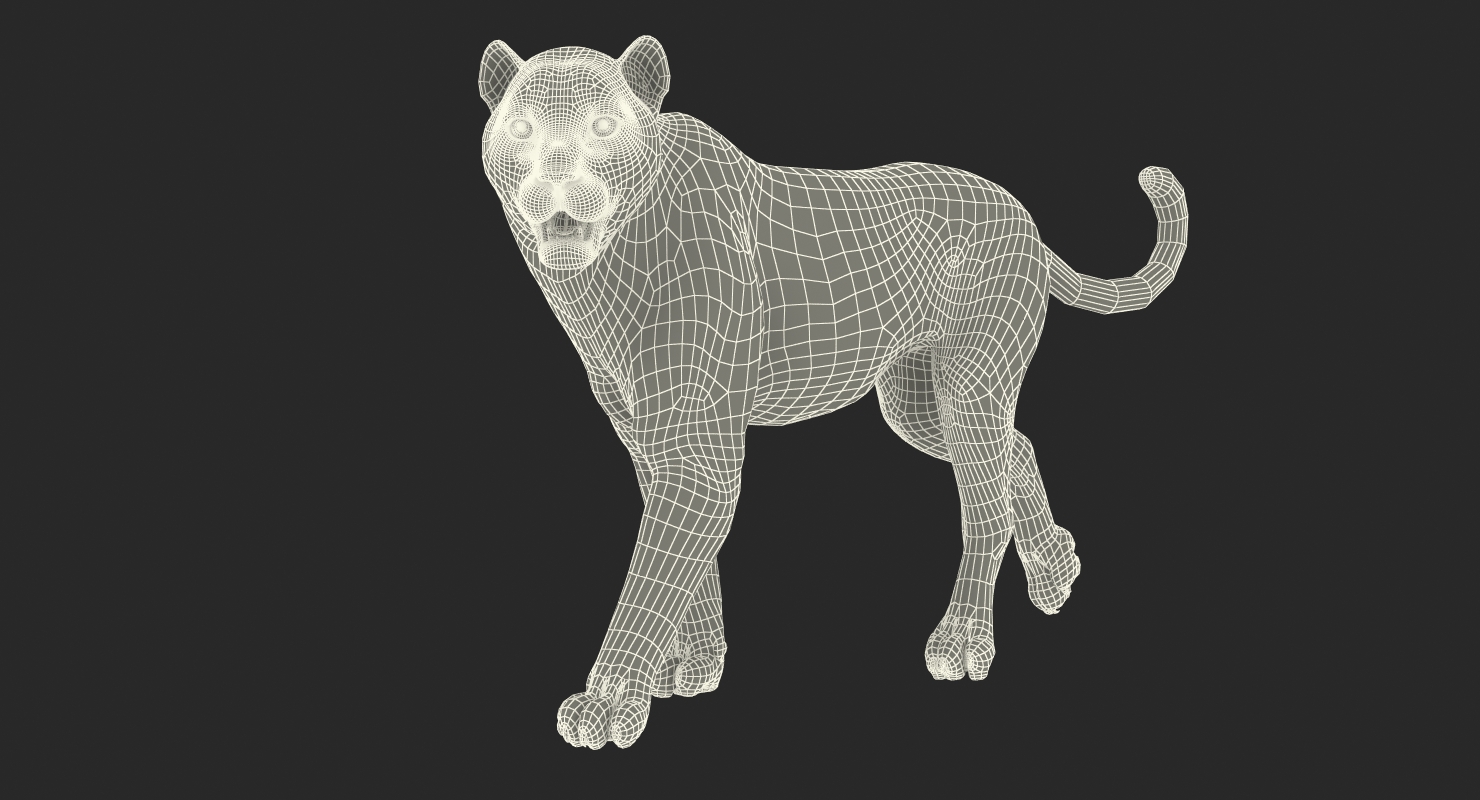 Snow Leopard Walking Pose with Fur 3D model