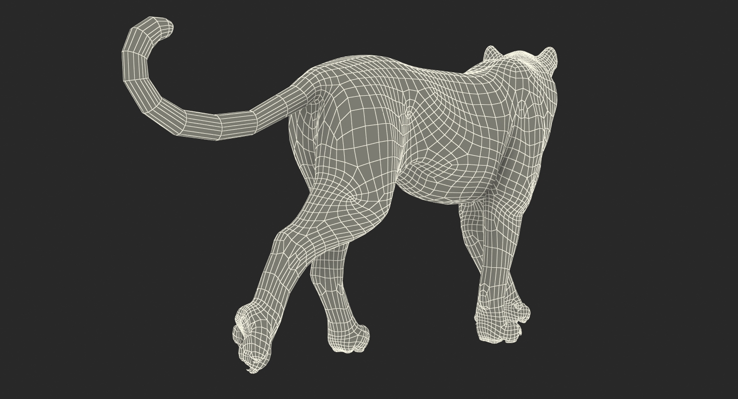 Snow Leopard Walking Pose with Fur 3D model