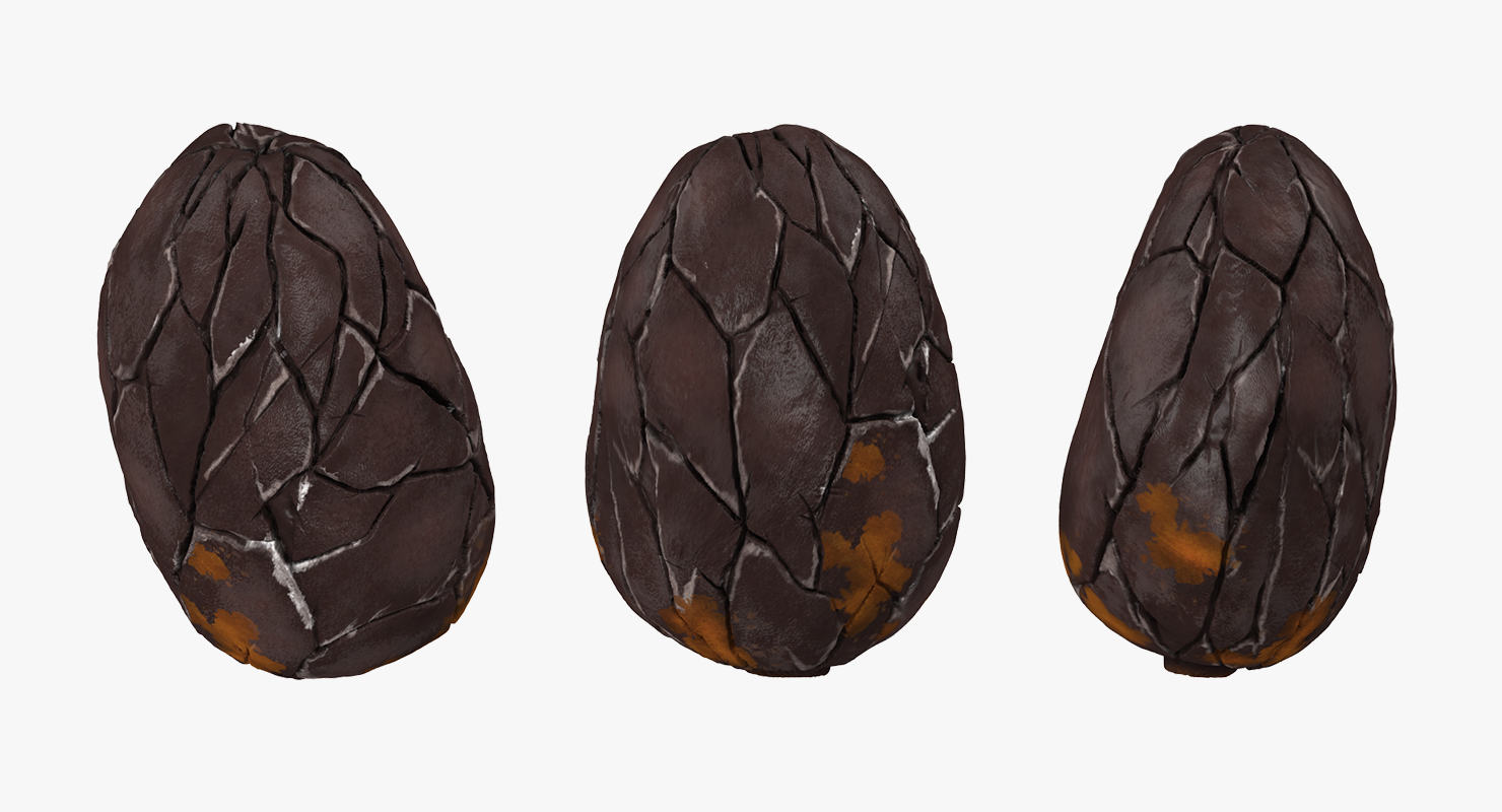 3D model Cacao Bean