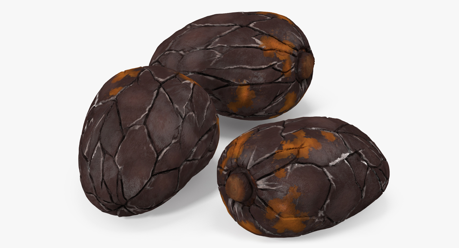 3D model Cacao Bean