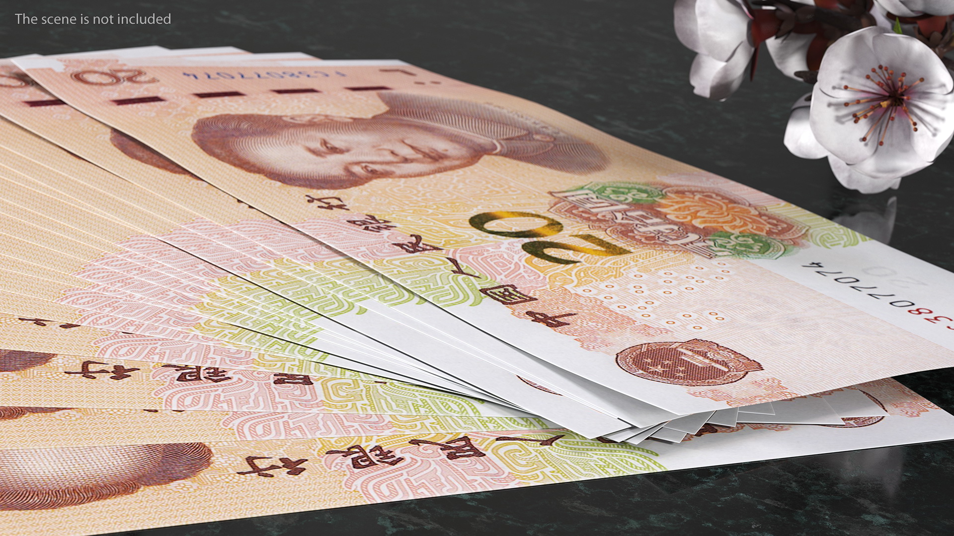 Fan of Chinese 20 Yuan 2019 Banknotes 3D