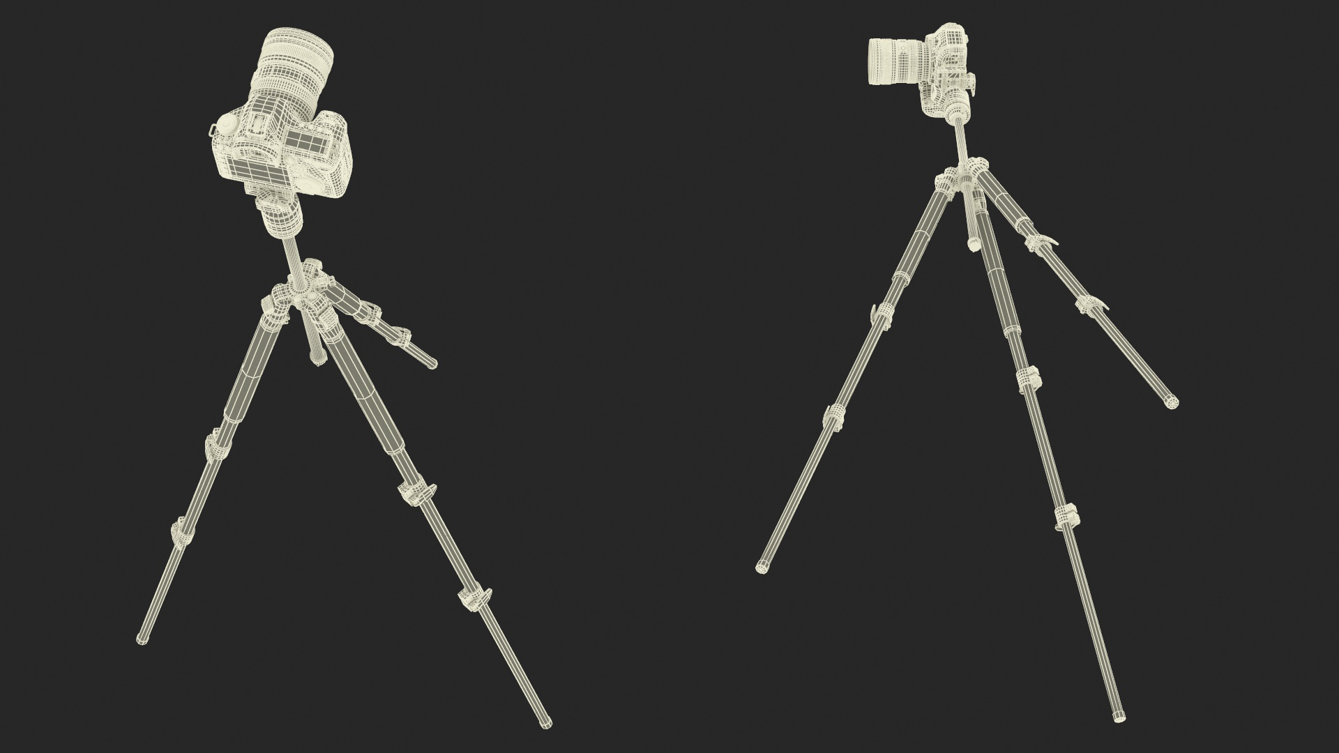 Canon Camera EOS 5D on Tripod 3D model