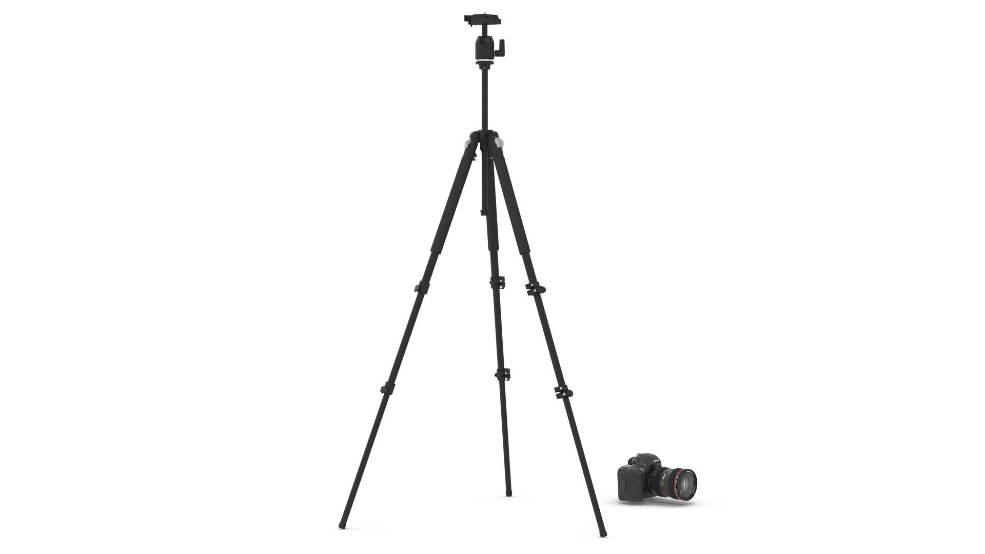 Canon Camera EOS 5D on Tripod 3D model