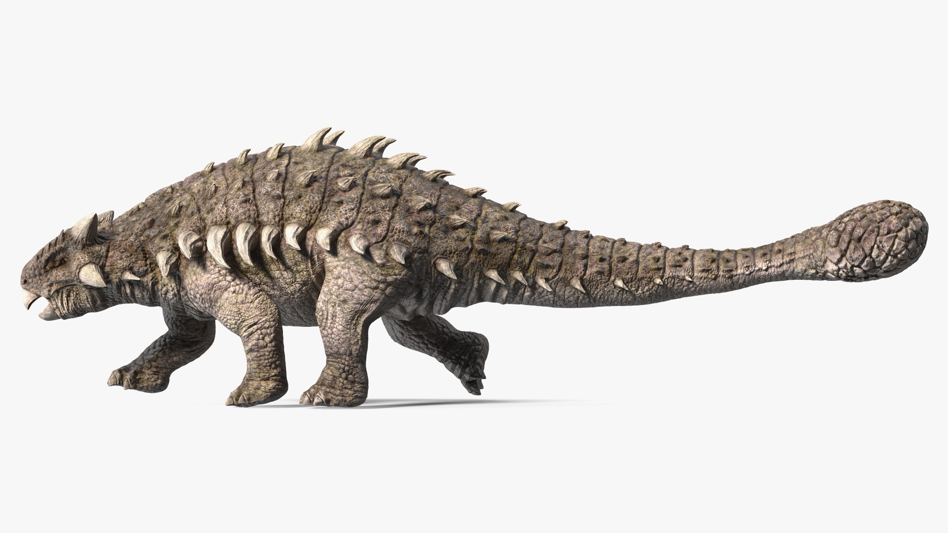 Ankylosaurus Deserted in Walking Pose 3D