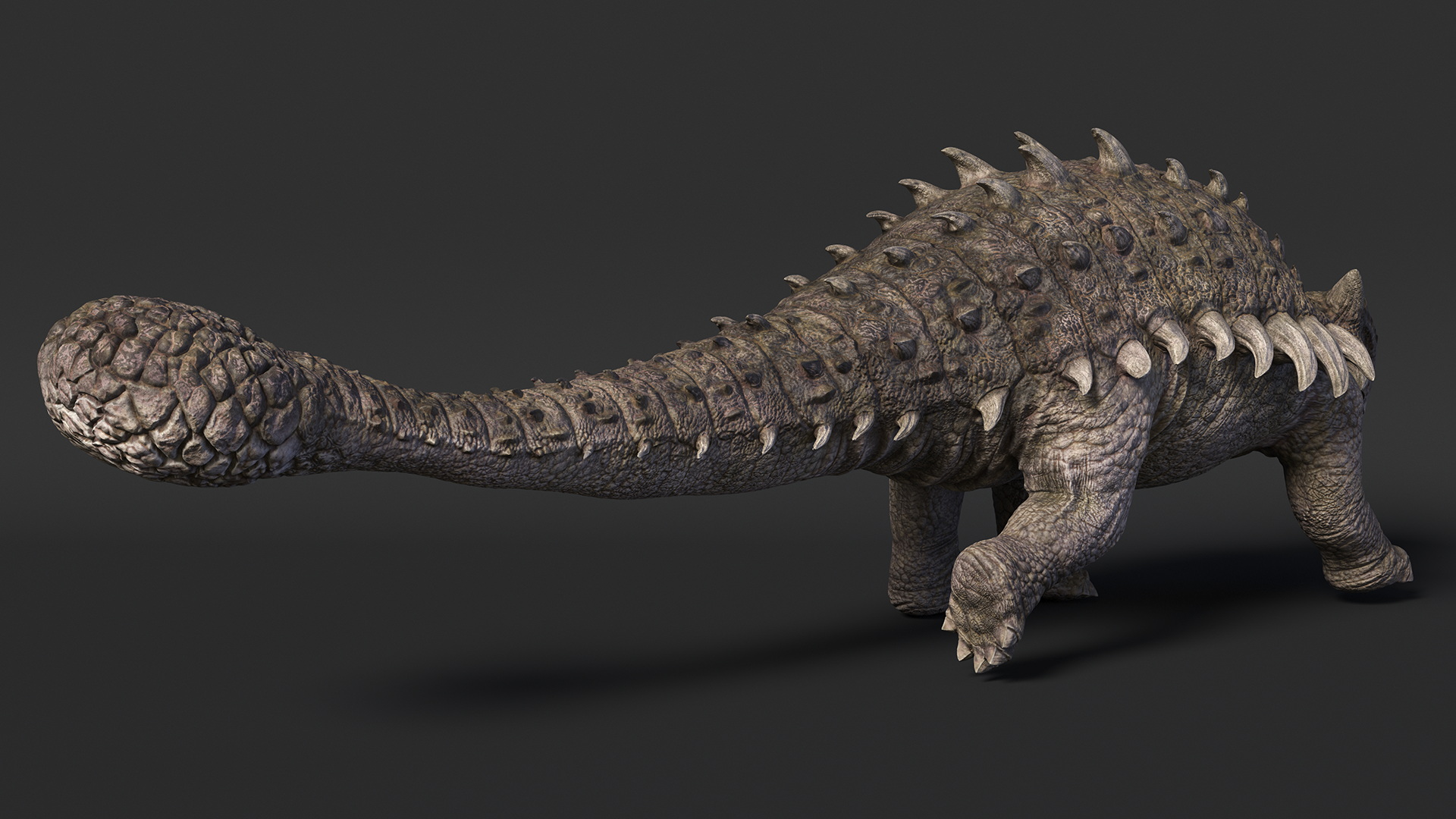 Ankylosaurus Deserted in Walking Pose 3D