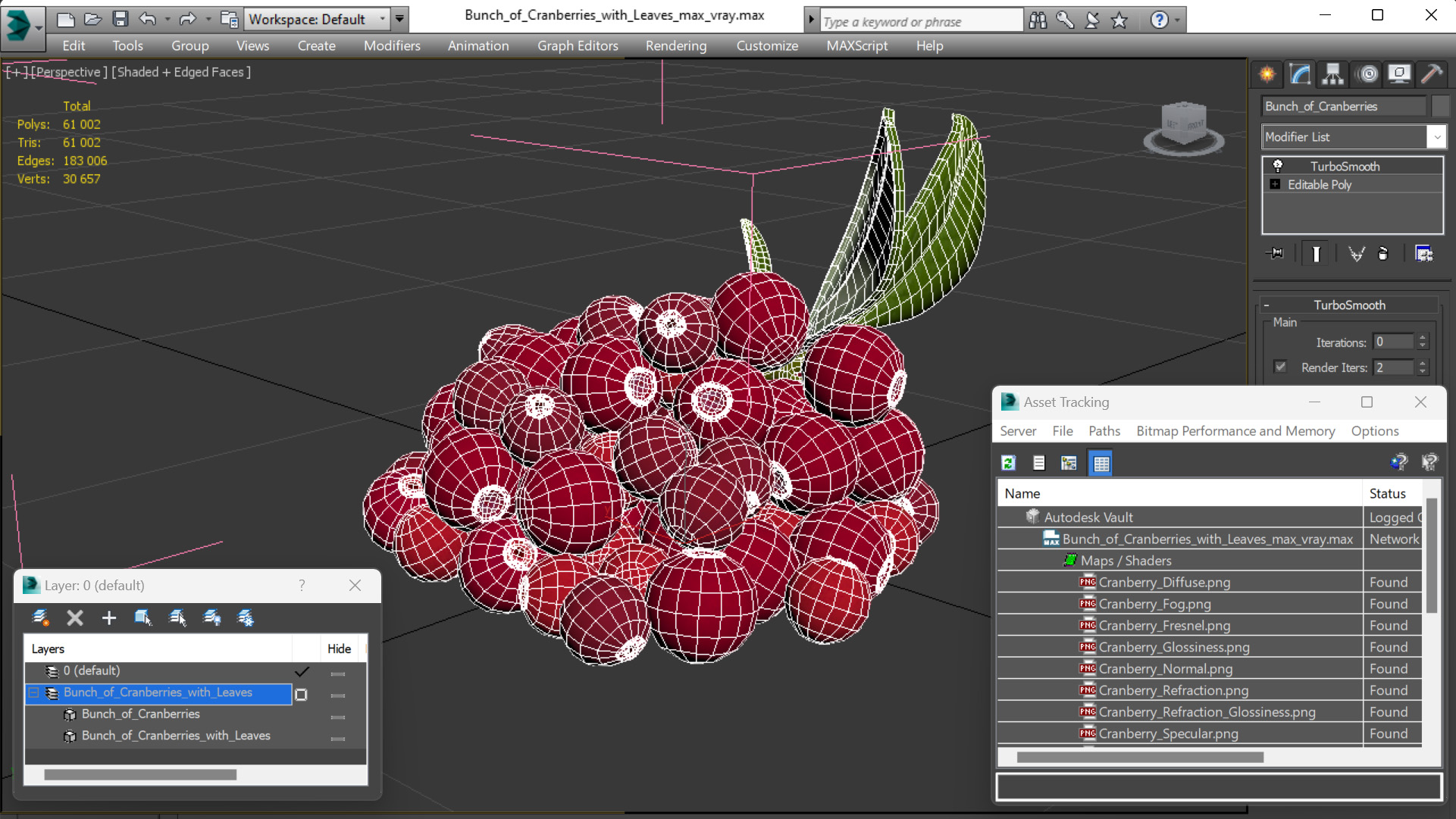 Bunch of Cranberries with Leaves 3D