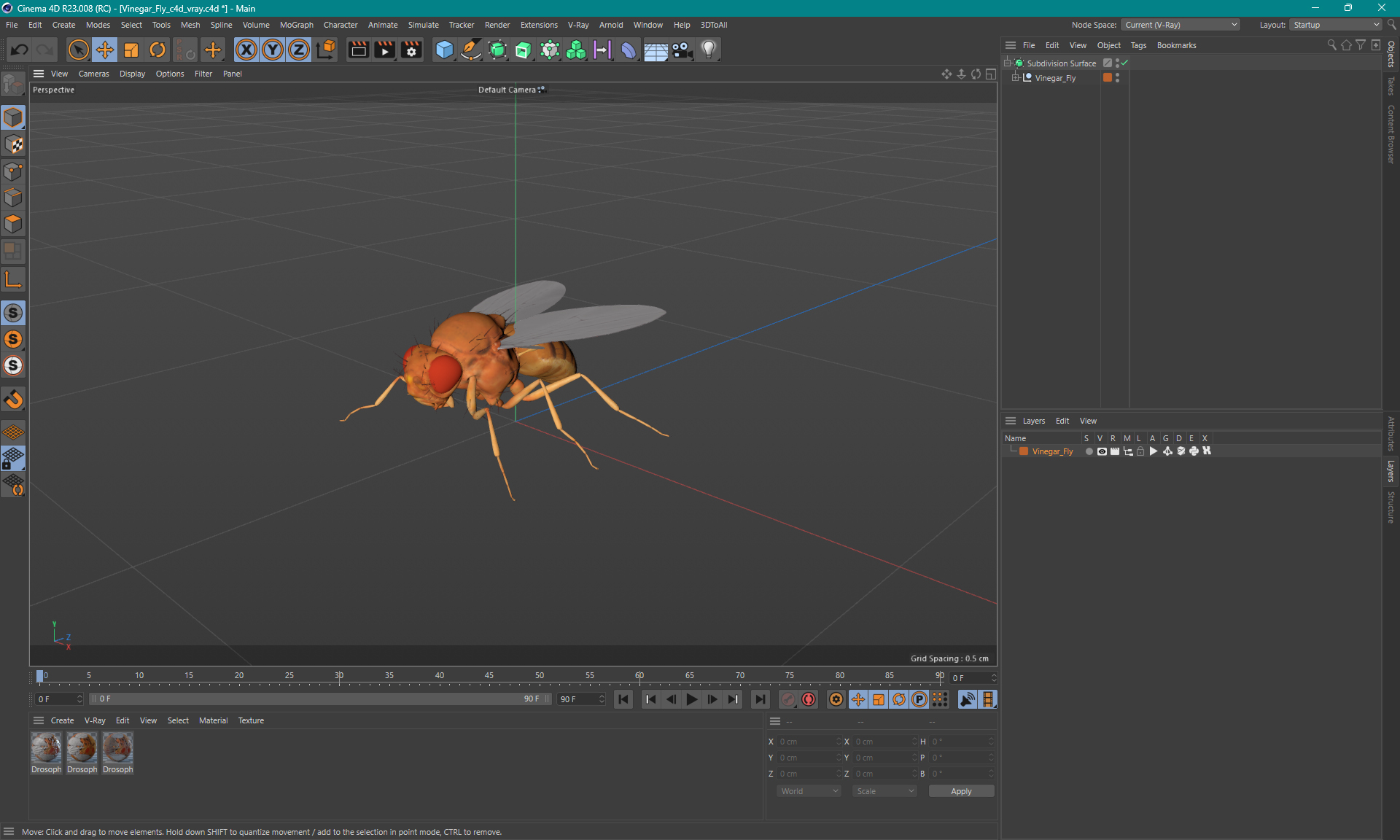 3D Vinegar Fly