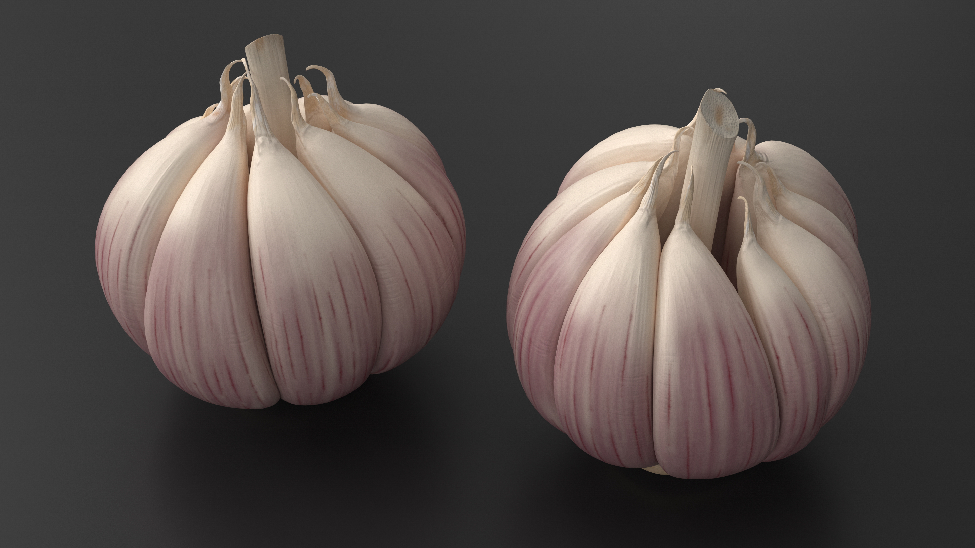 3D model Head of Garlic White