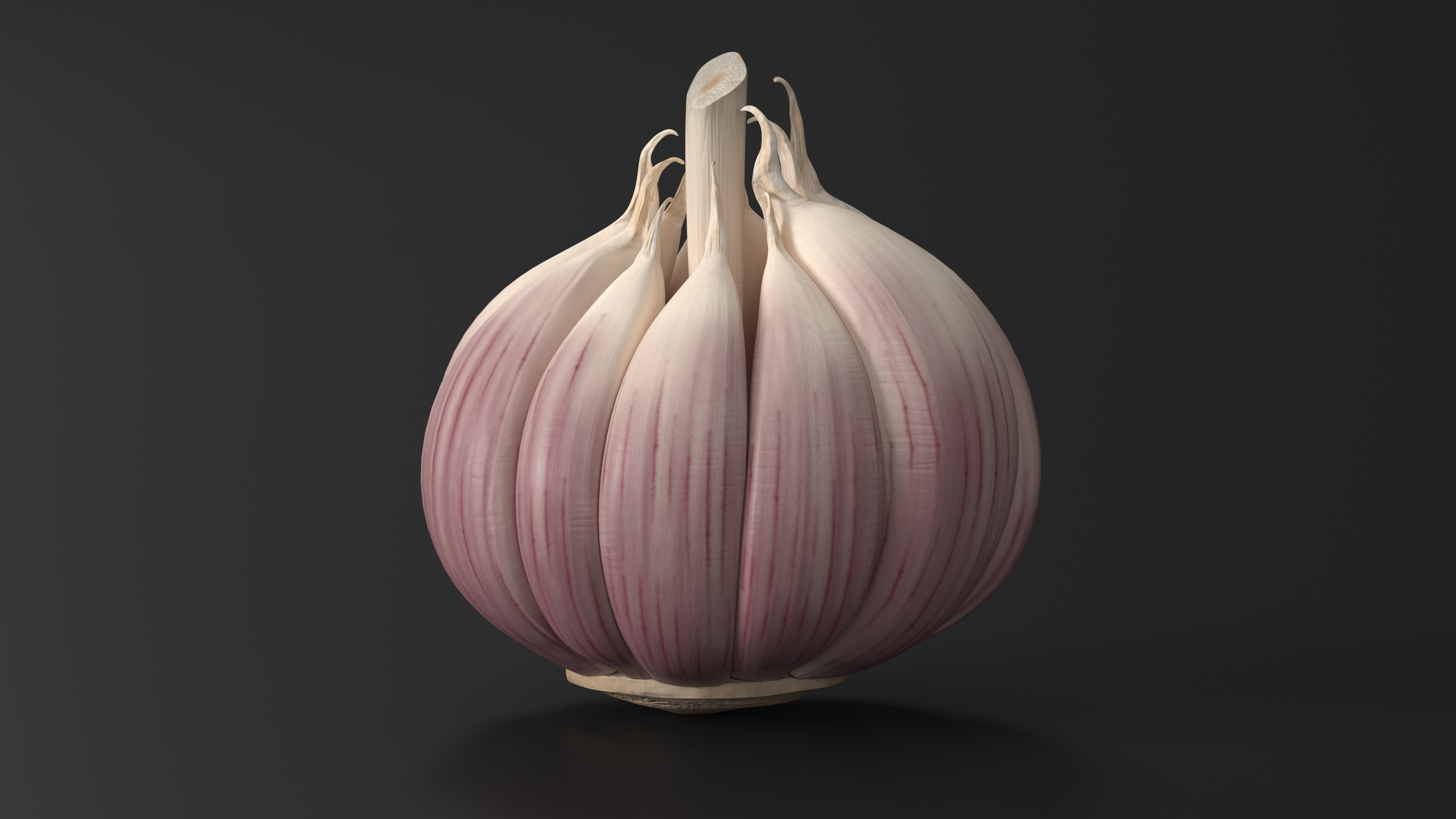 3D model Head of Garlic White