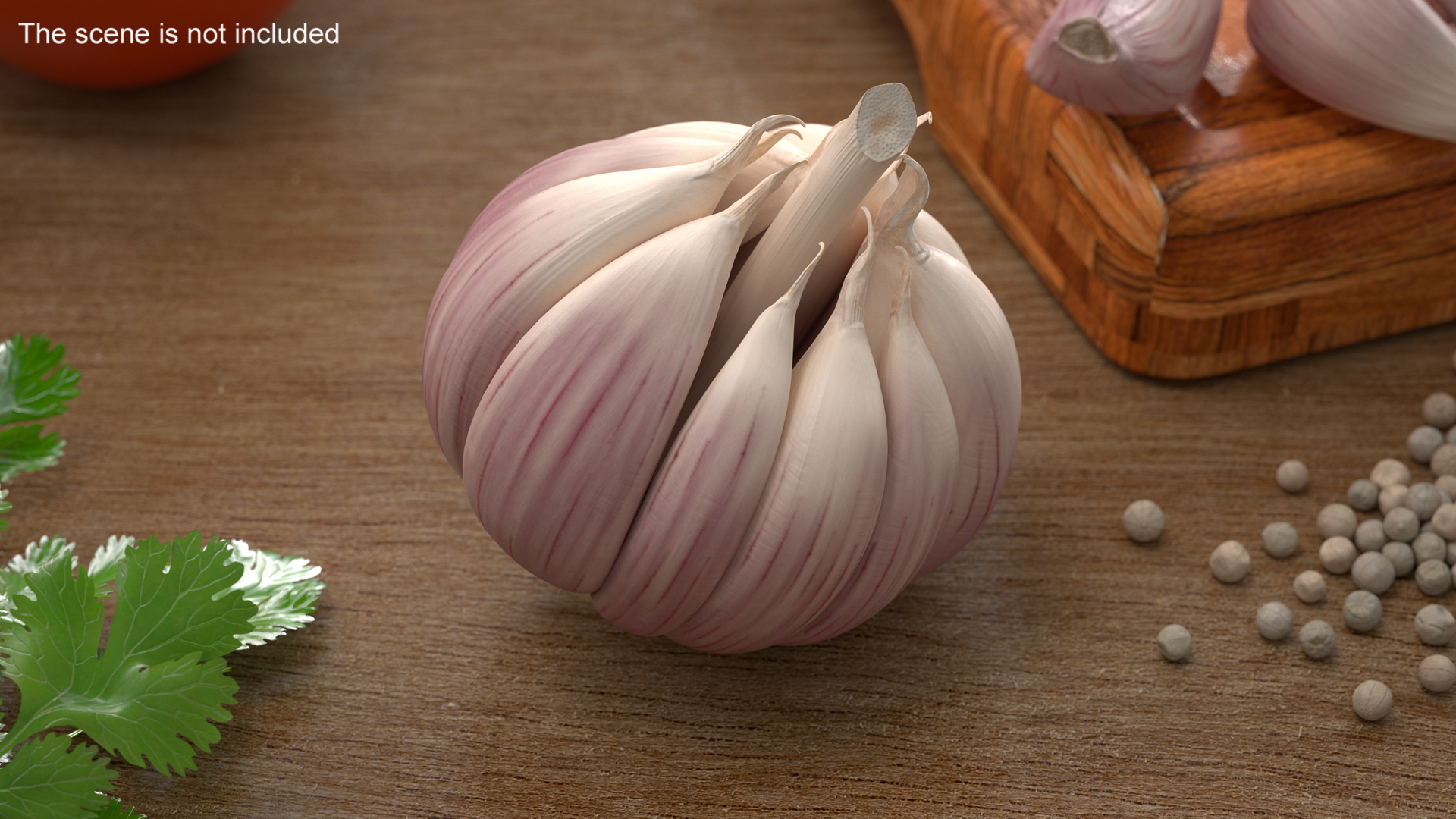 3D model Head of Garlic White