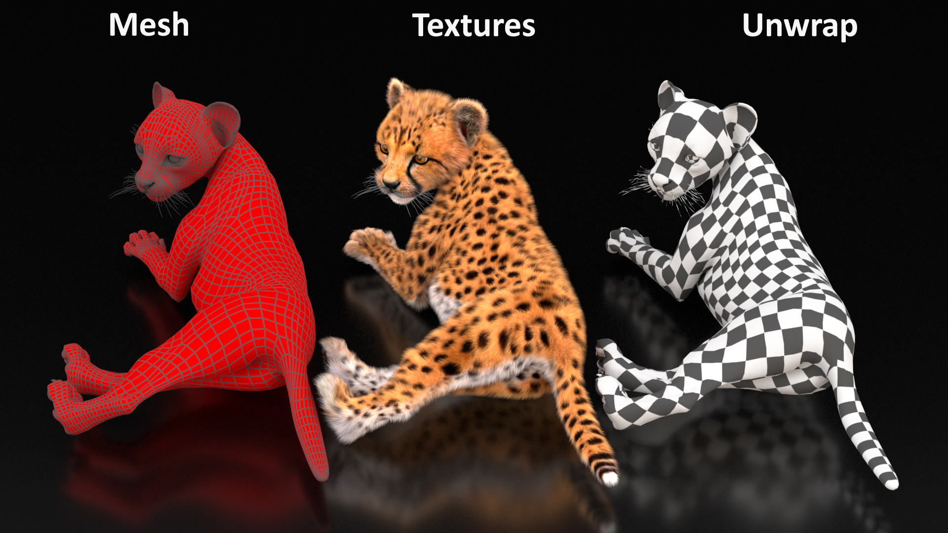 3D Cheetah Cub Lying Pose Fur